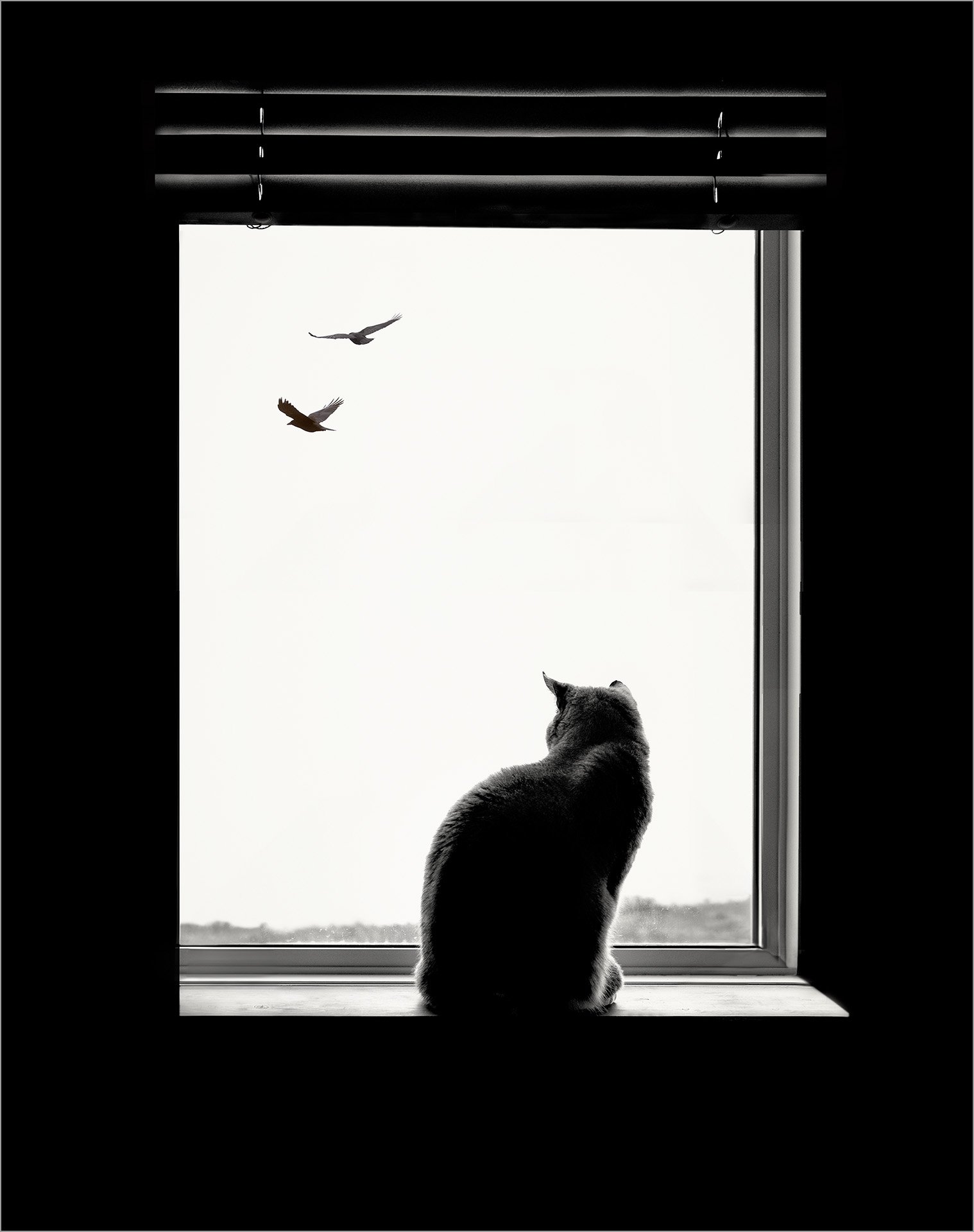 Kindred Spirits (KBG26631)