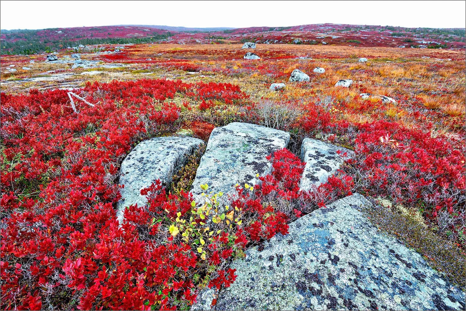 Kas Stone Photographic Art