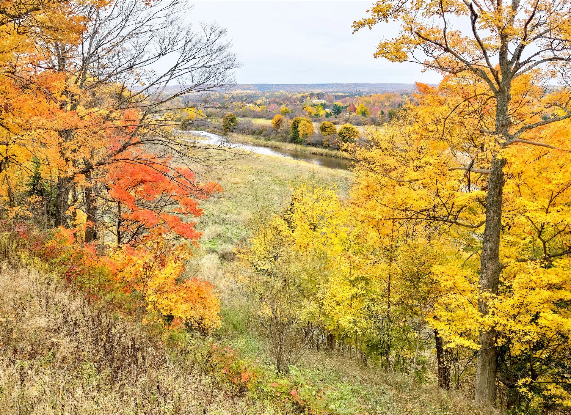 River of Gold  (KS24_155231)