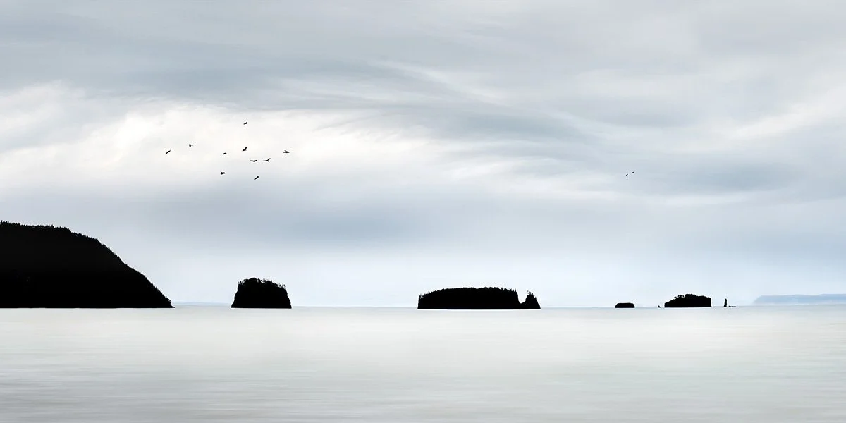 Coming Home to Roost  (KBG07572)