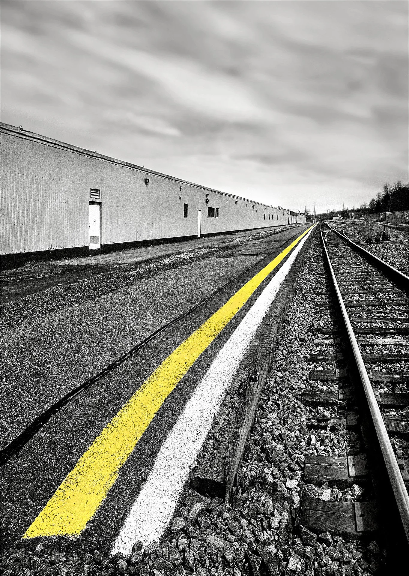 On the Right Track  (KS24_134425)
