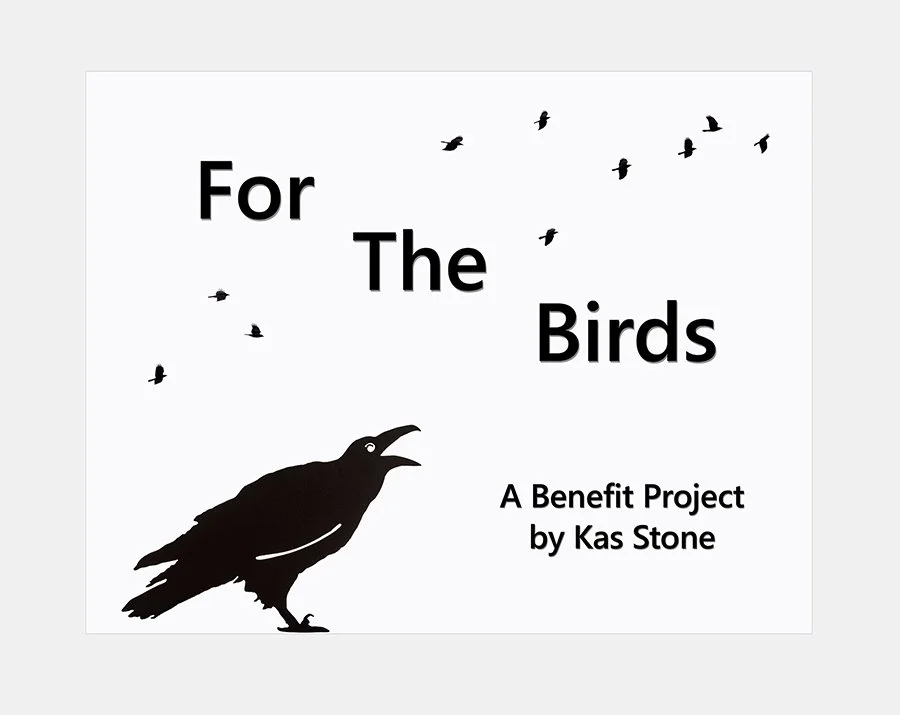 For the Birds book cover