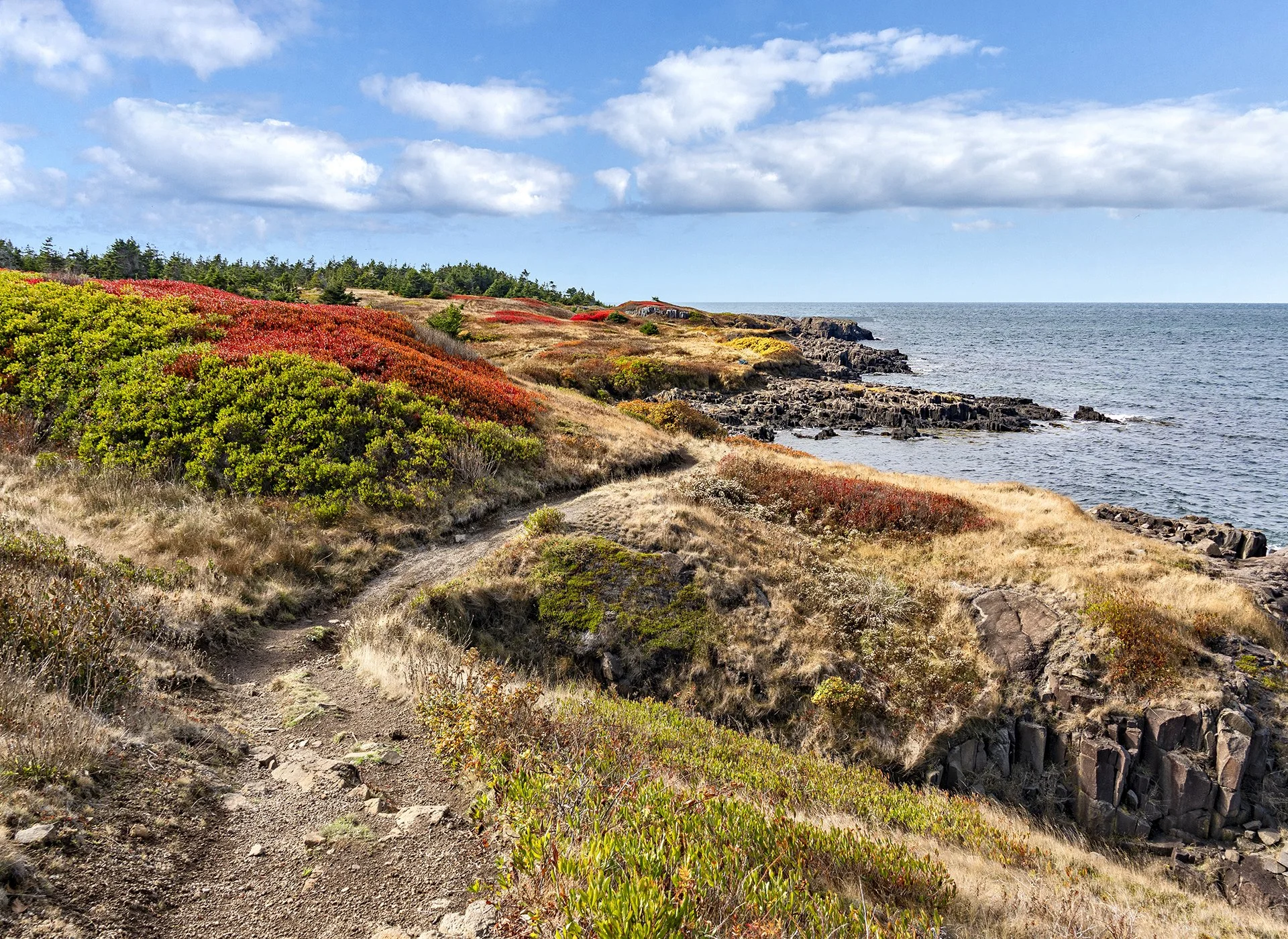 Brier Island Coastal Trail  (KSP01998)