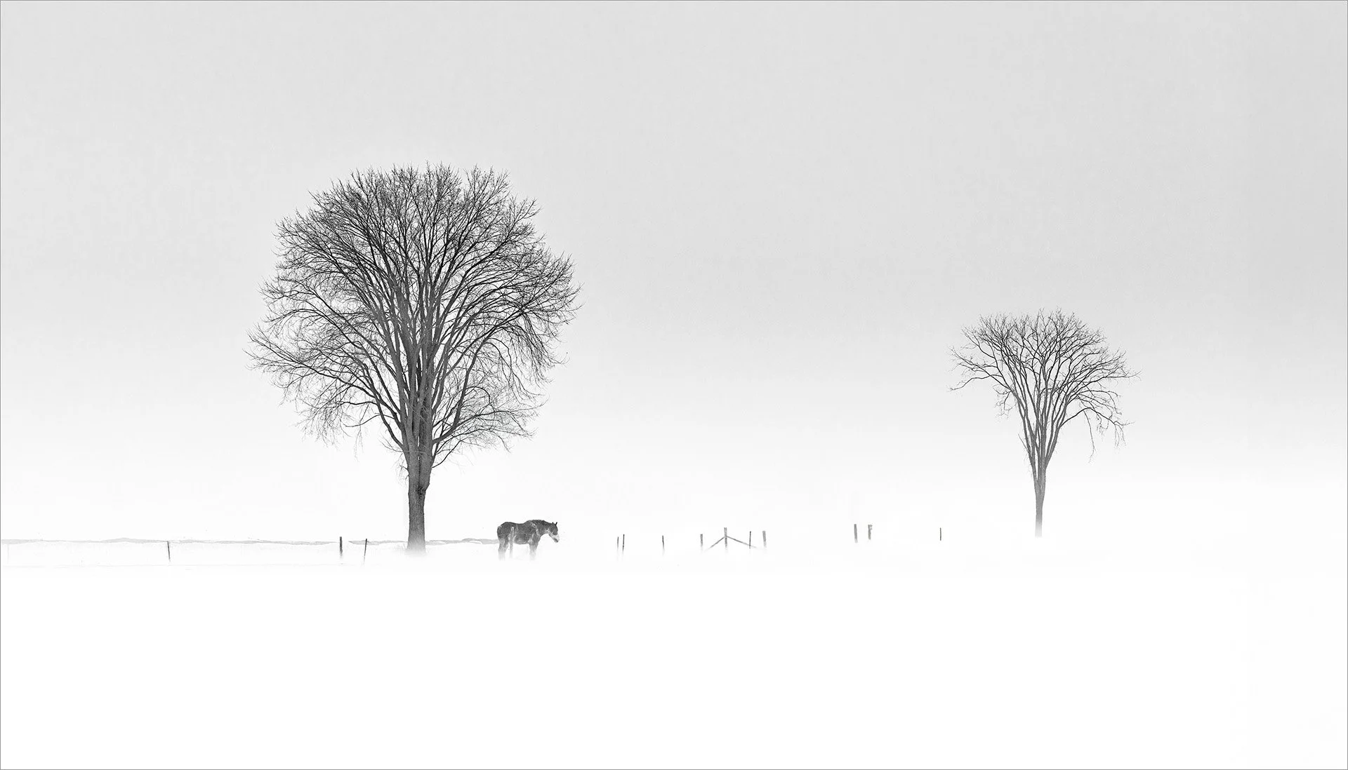 Out to Pasture  (KBG37057)