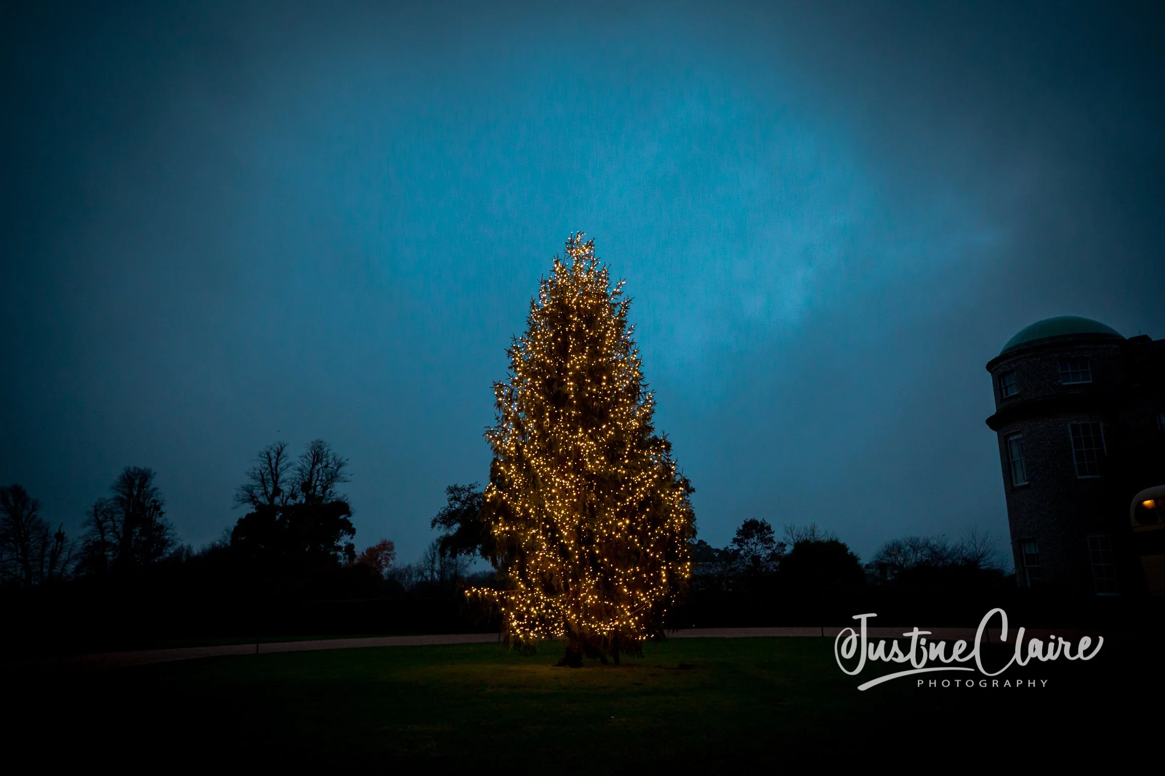 A large Christmas tree decorated with yellow lights, set outdoors at dusk or night, with silhouetted trees and a building in the background.