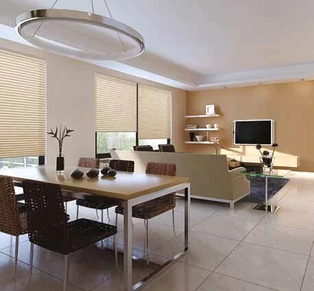Light Brown pleated blinds in the office