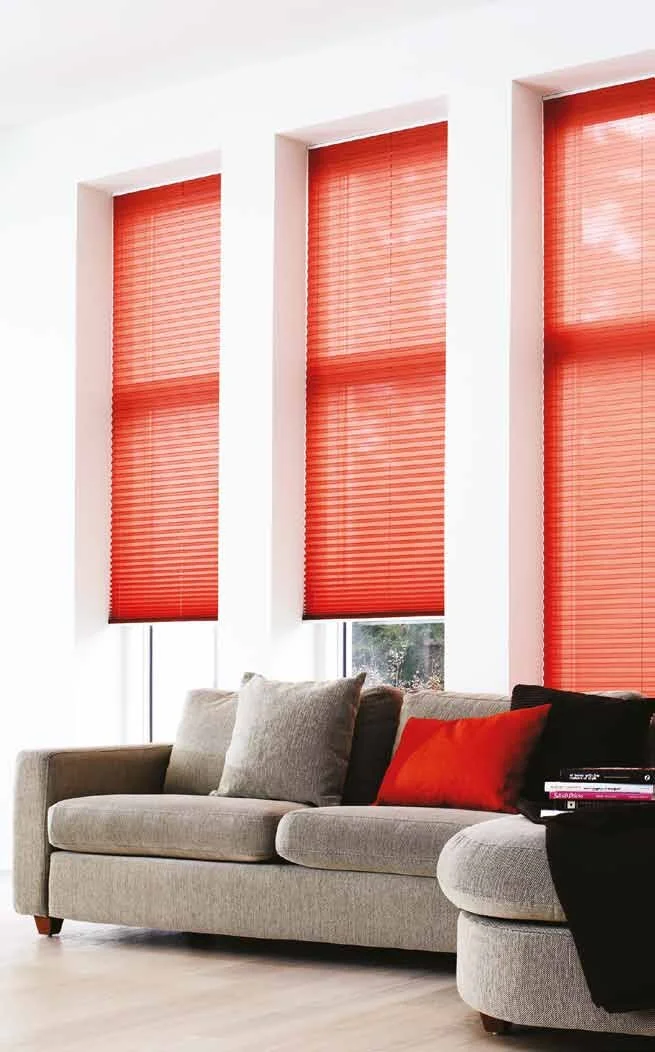 Red Top Line Pleated Blinds
