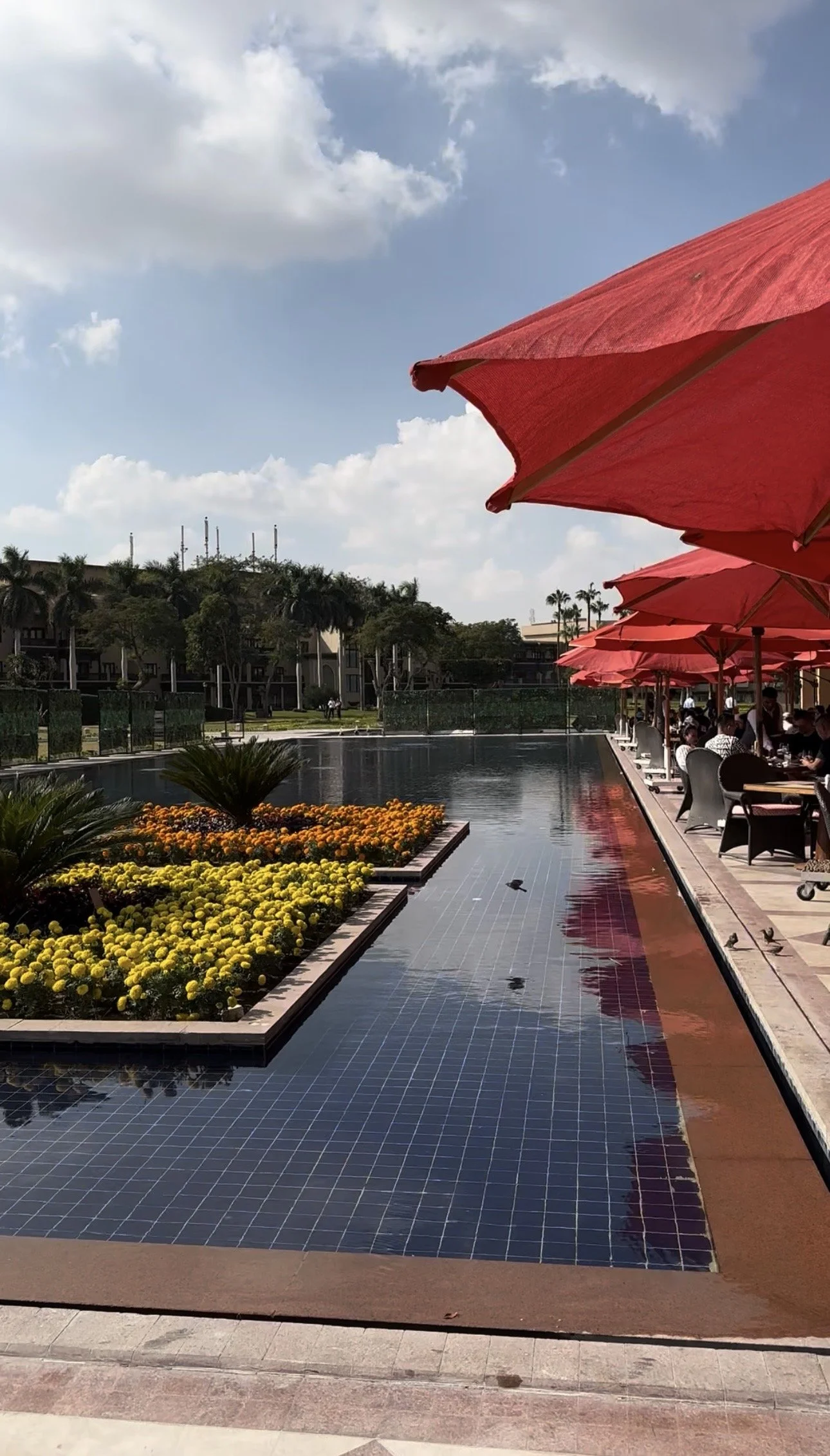 Menna House Cairo.jpg