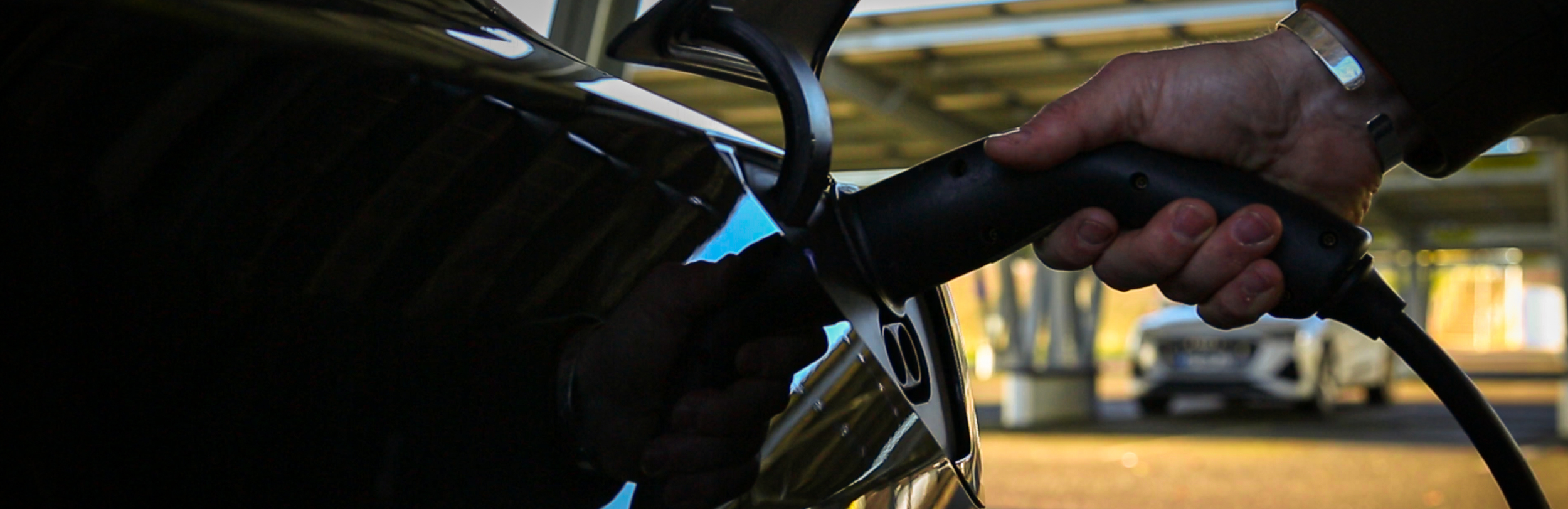 RenEnergy EV battery storage solutions