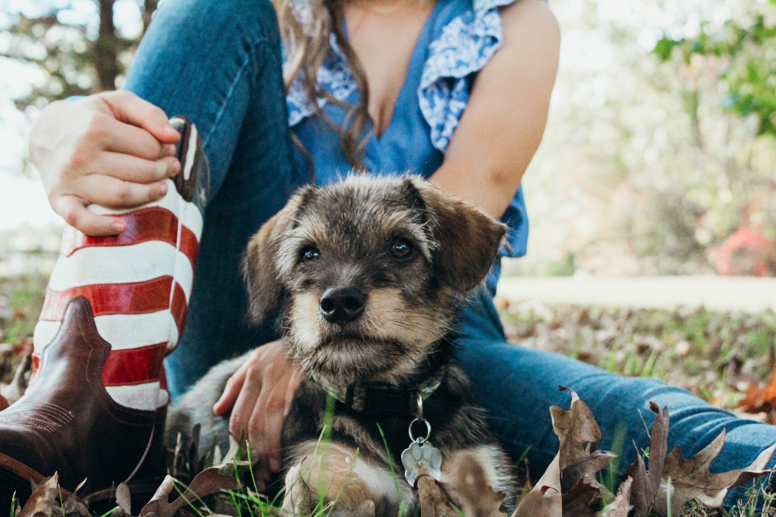 How did the US government save marriages with pictures of puppies?
