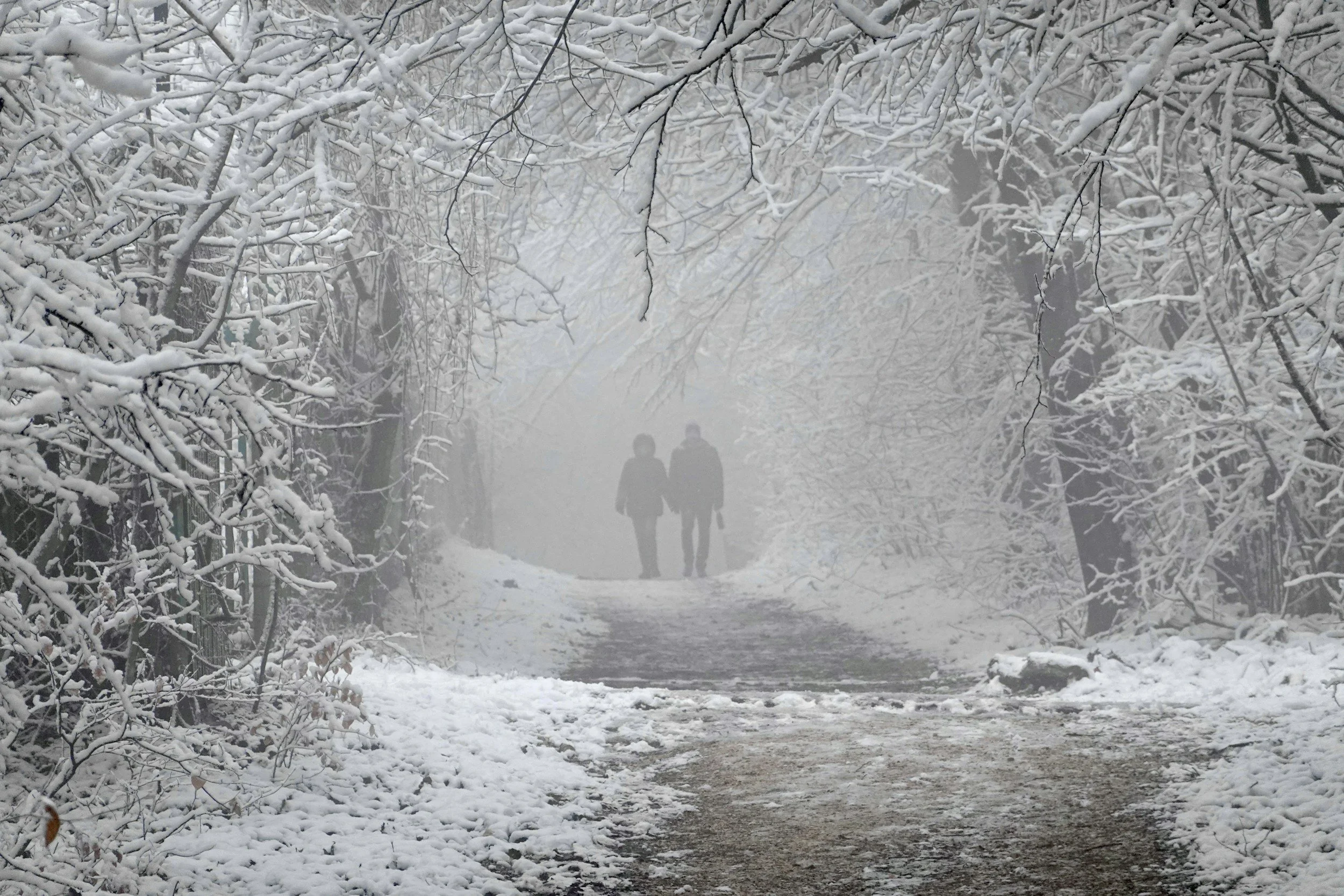 Couples Therapy Intensives: When Insight Isn’t the Problem—Endurance Is