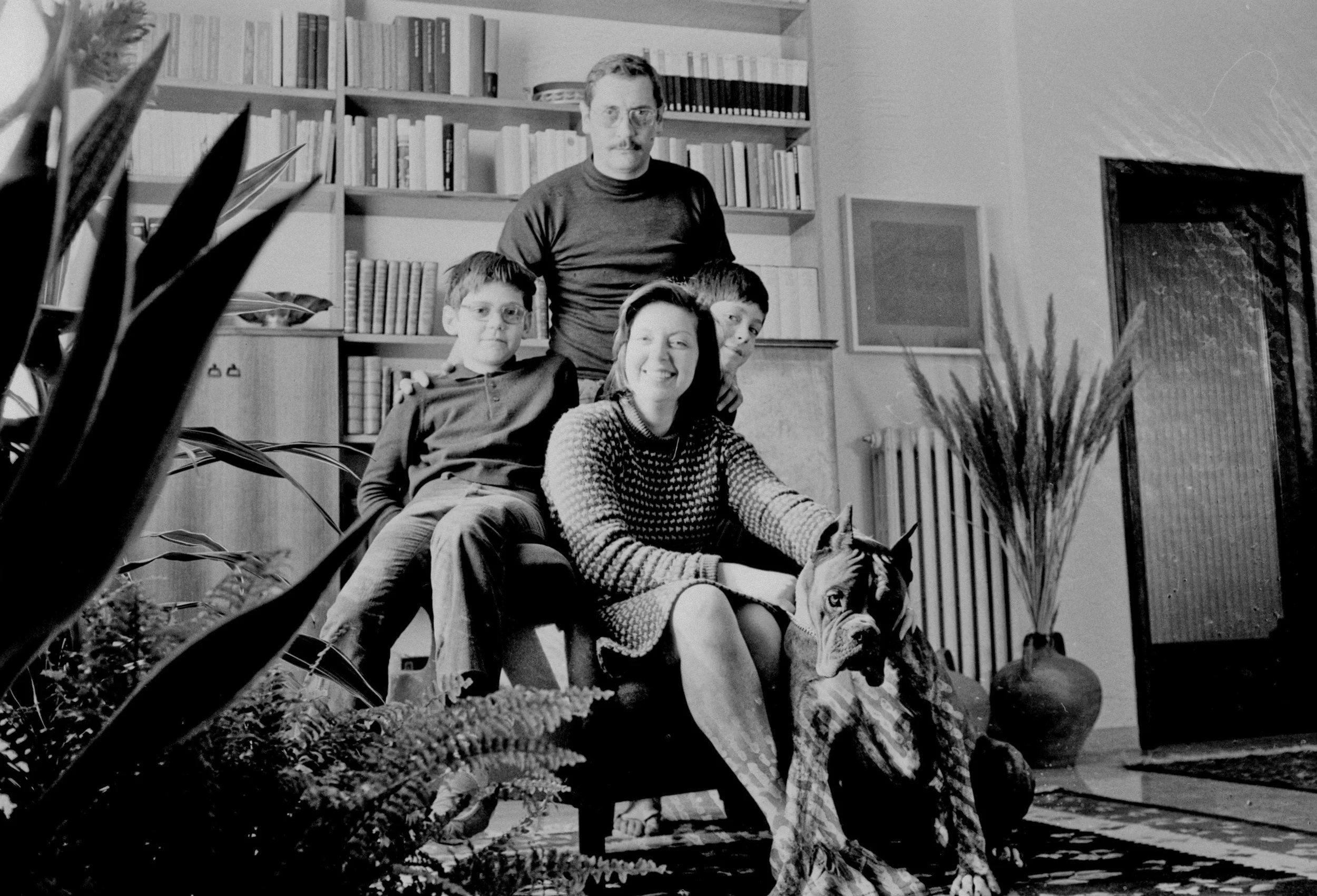 The Collapse of the “Good Family” Myth: When Nothing Is Wrong—but Nothing Is Working Splendidly Either