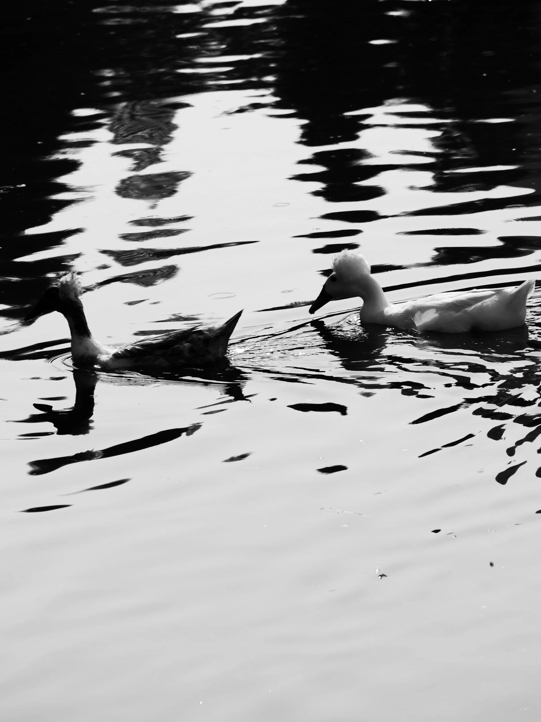 Below the Waterline: Why Couples Don’t Change When You Push Them