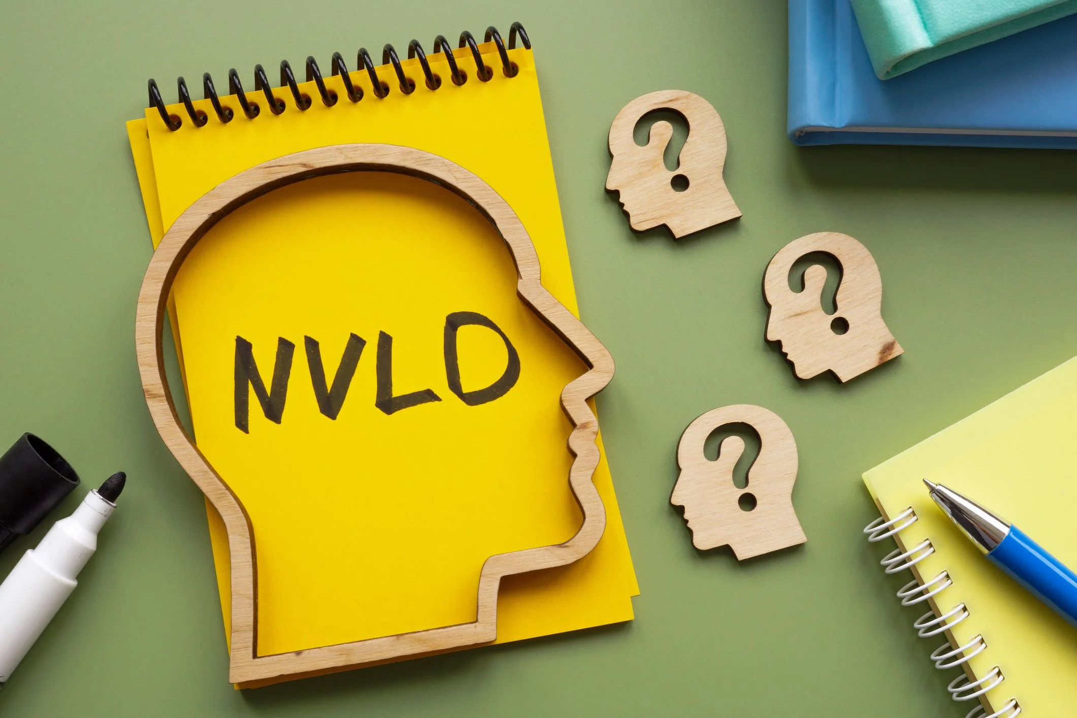 The Intelligent People the World Keeps Misreading: The Hidden Experience of NVLD</span>