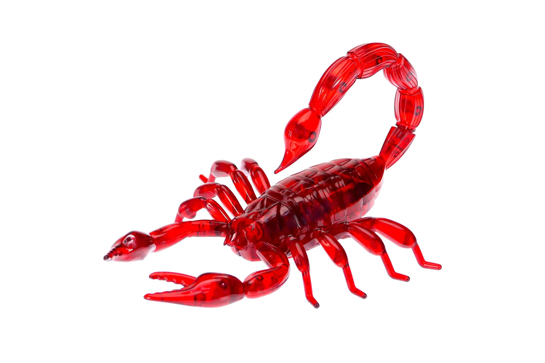 The Scorpion and the Frog: How a Persian Story About Betrayal Became an Excuse for It