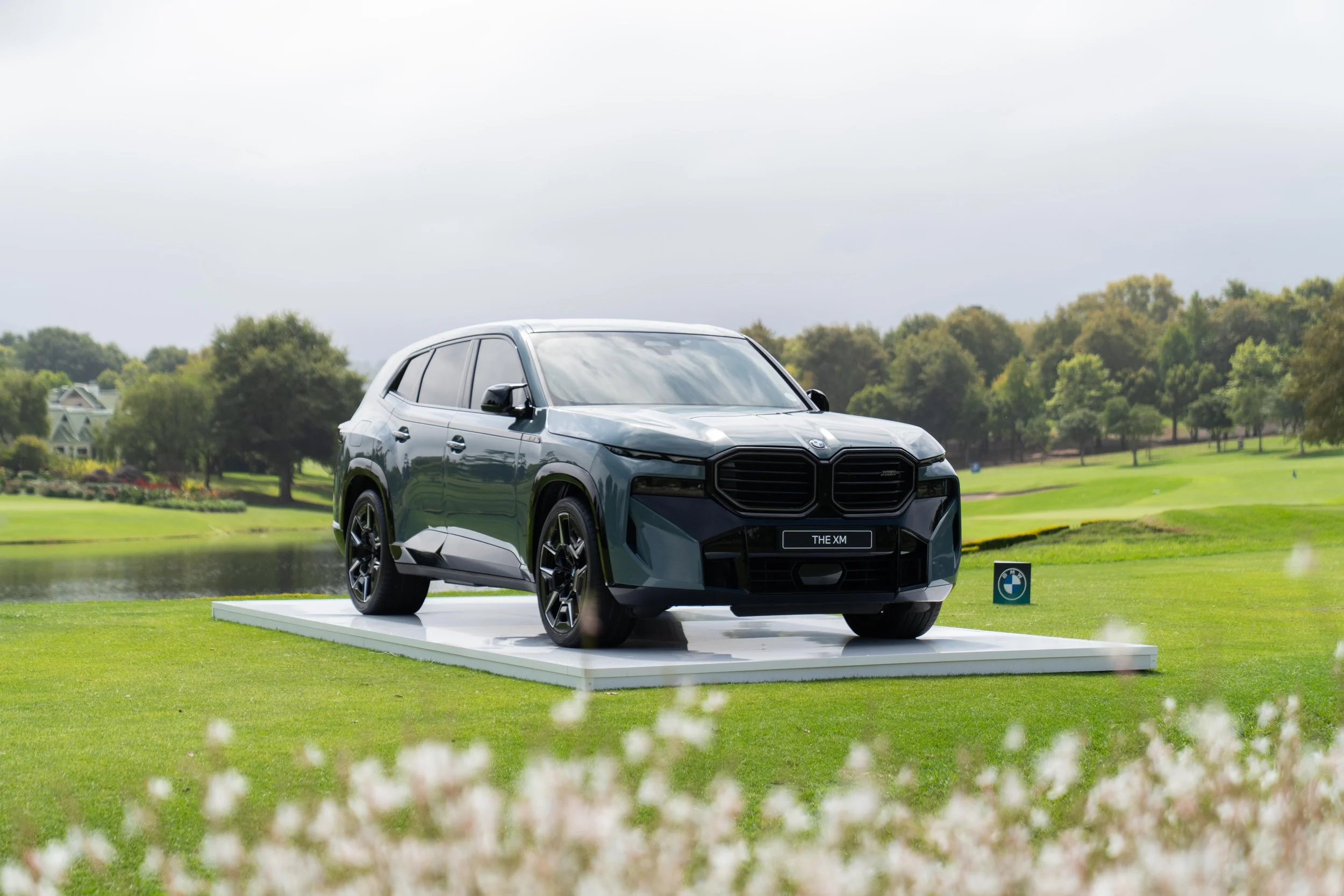 BMW-101.jpg