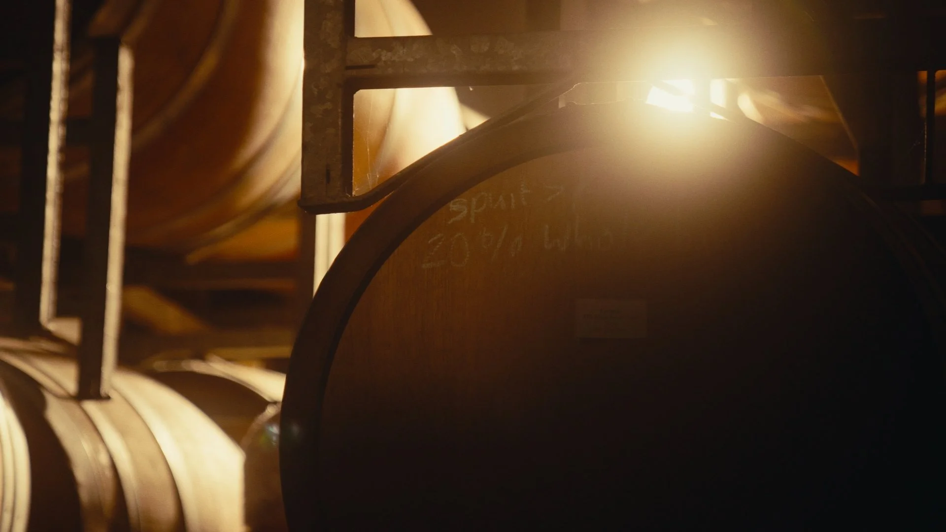 Cape_Union_Mart_ScreenGrab_13.jpg