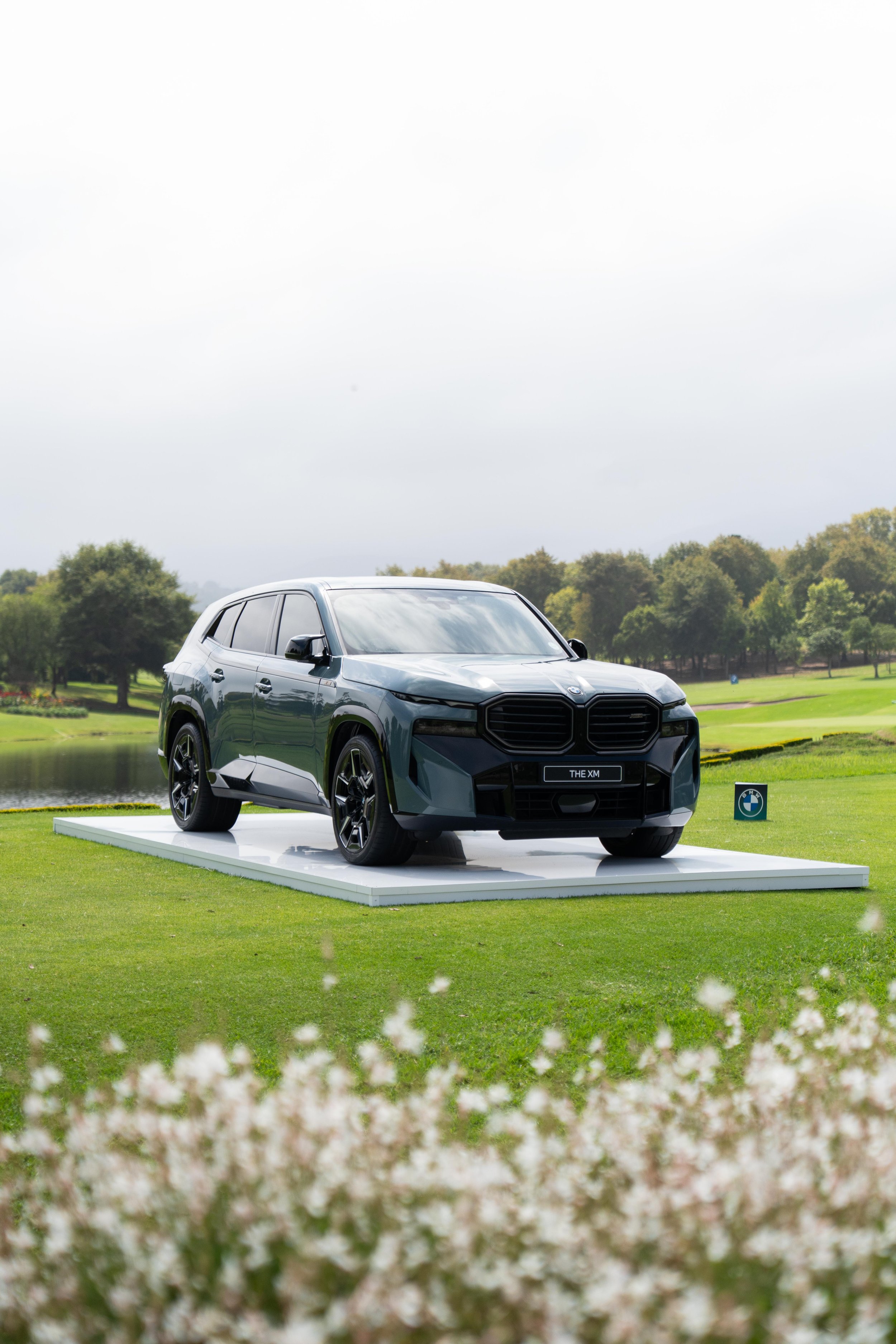 BMW-100.jpg