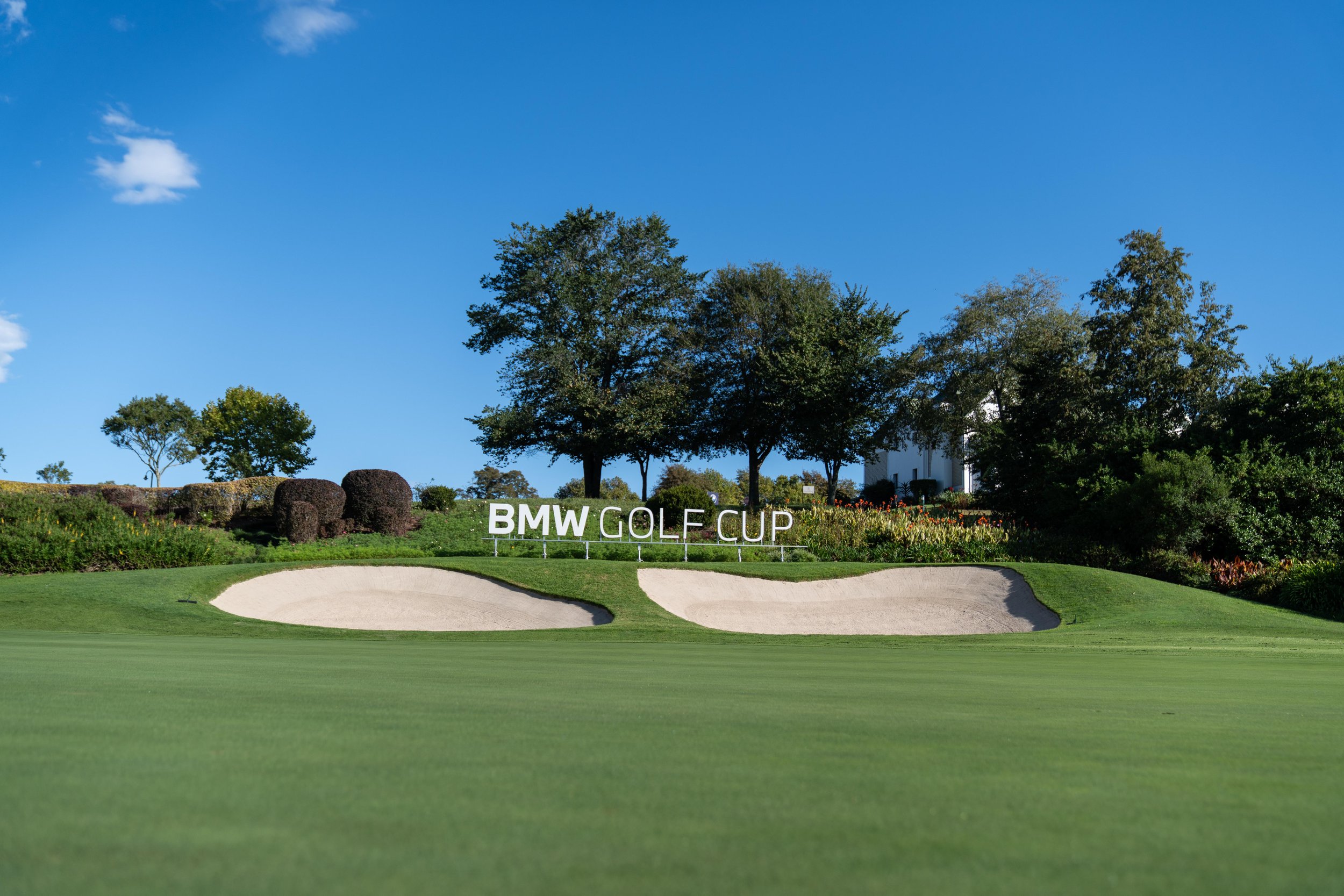BMW-164.jpg