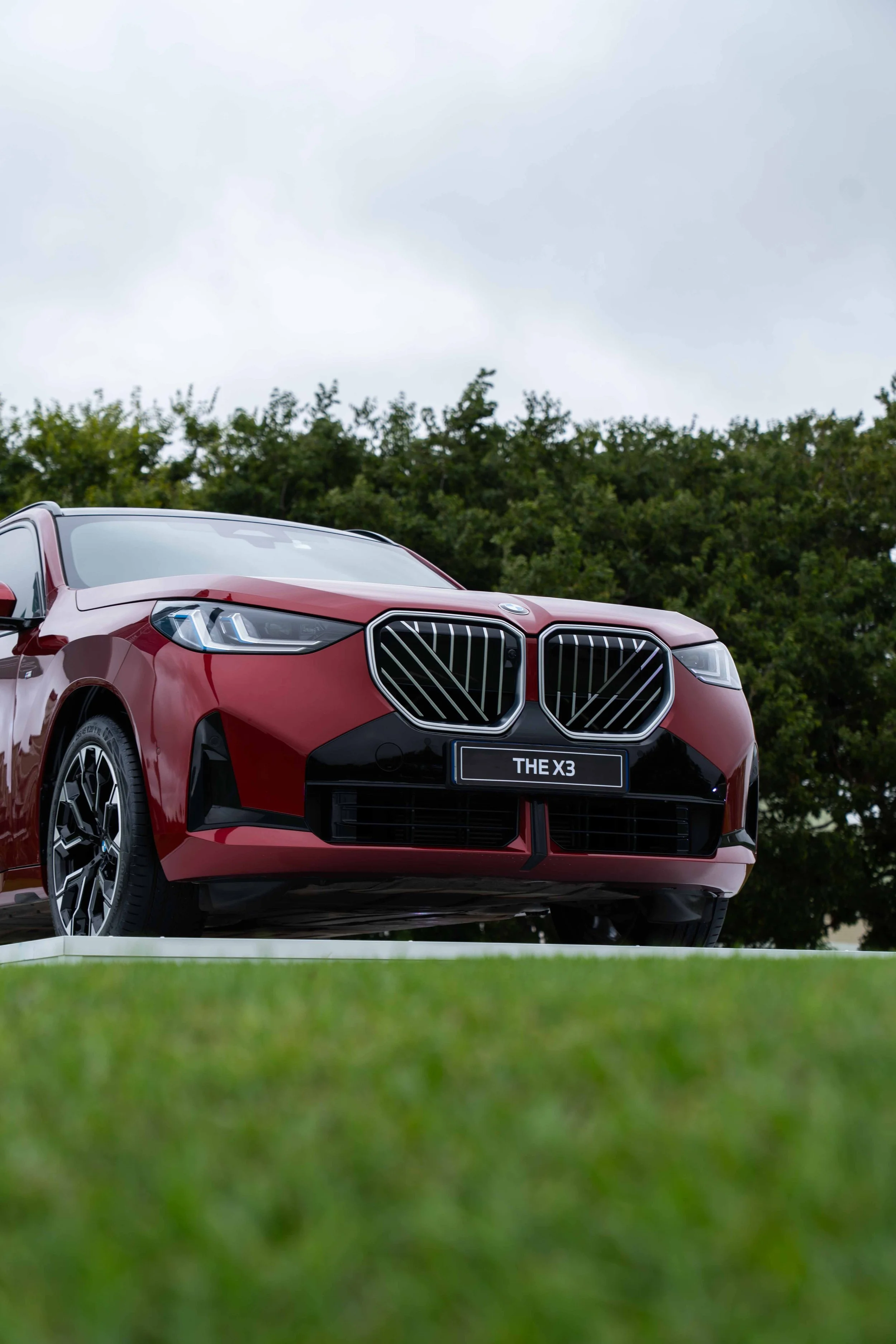BMW-21.jpg