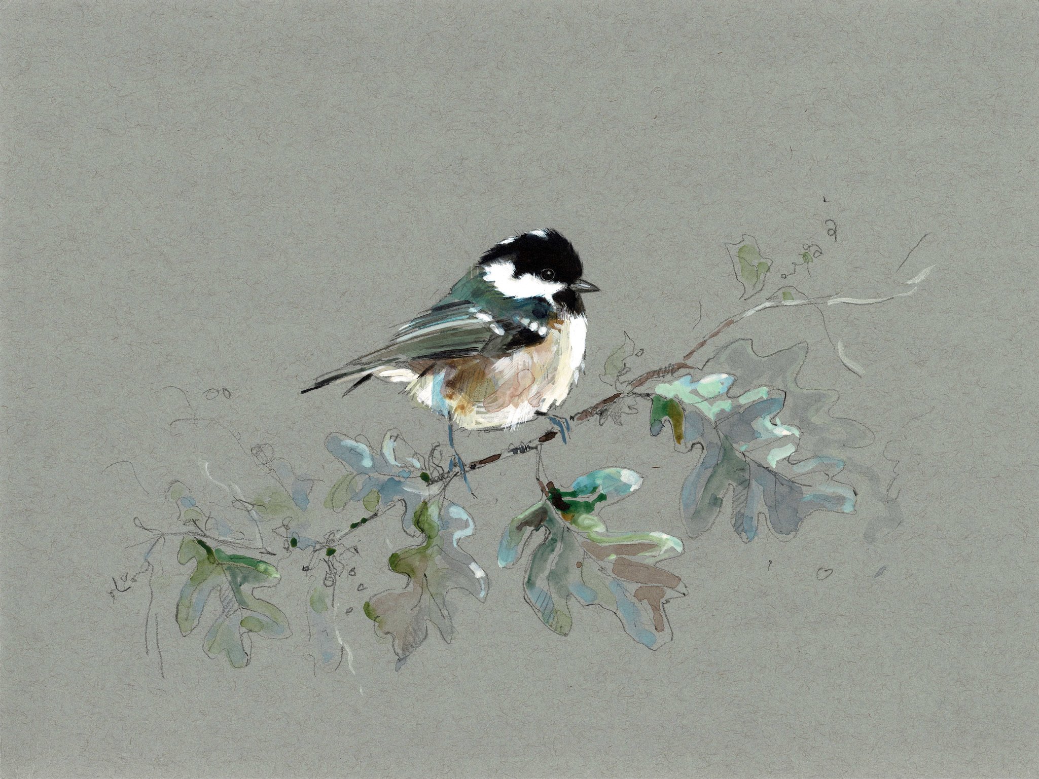 COALTIT in Oak.jpeg
