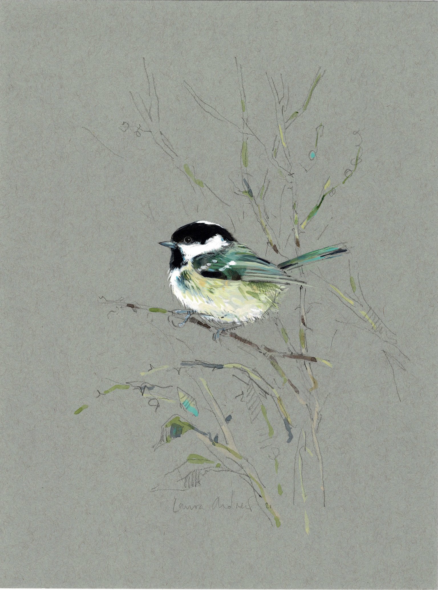 COALTIT in Larch.jpeg