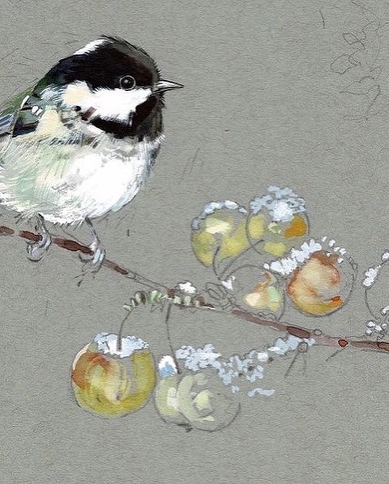 coal tit in apple.jpeg