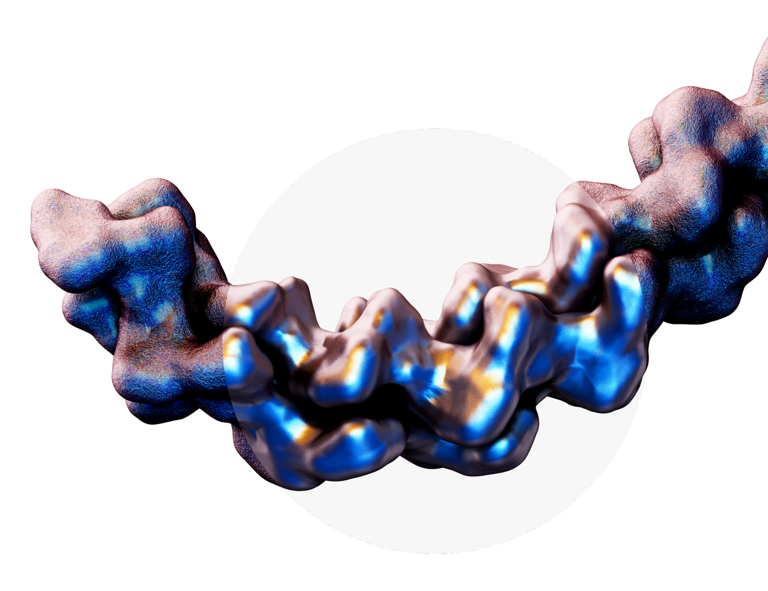 Cambrium
