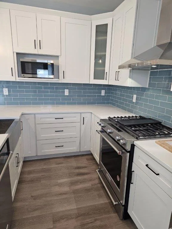 Modern Transitional Kitchen Kitchen Remodel by Father and Son Building and Remodeling — Project 1 project photo 4