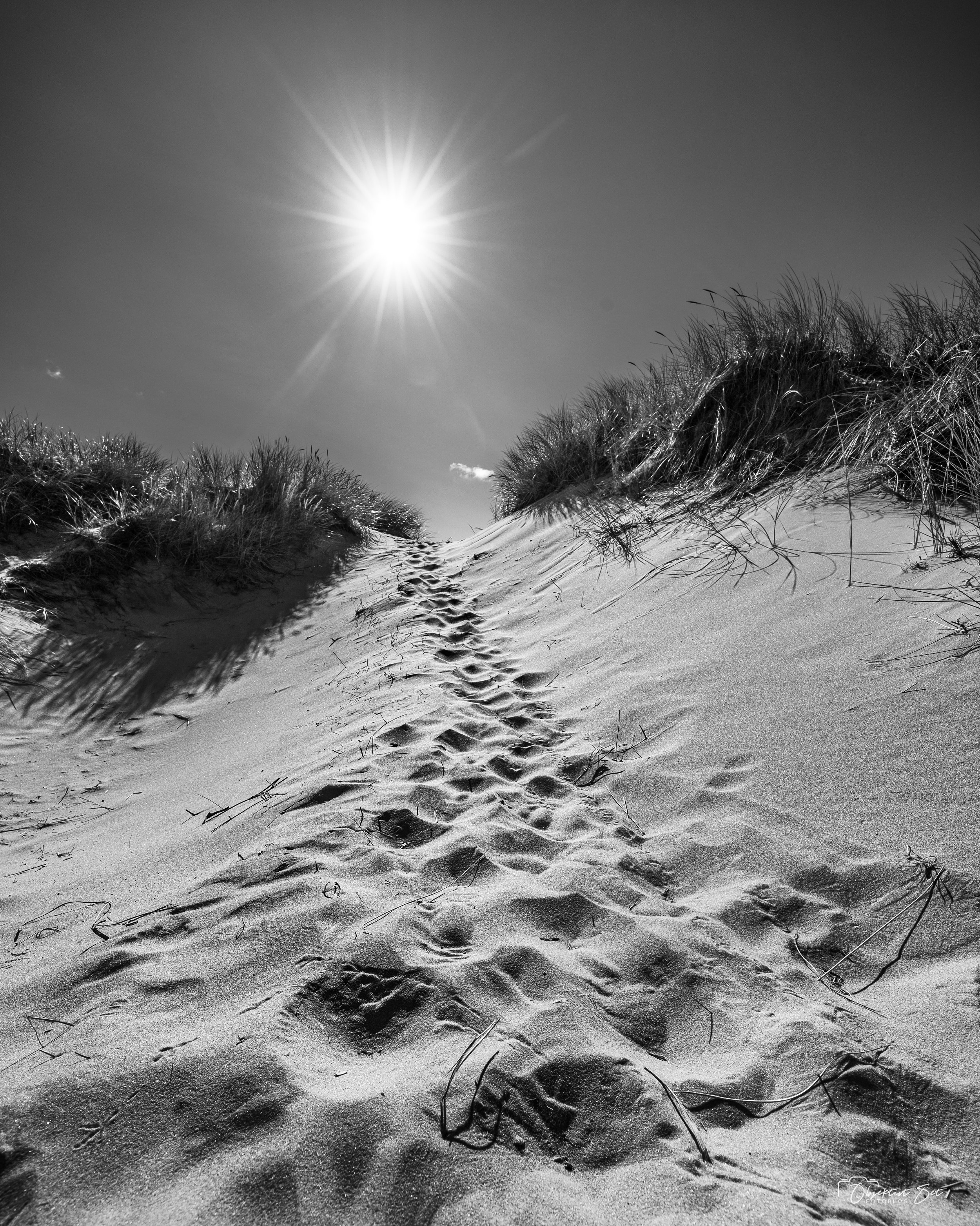 Sandmilen, Skagen, 14-09-2024