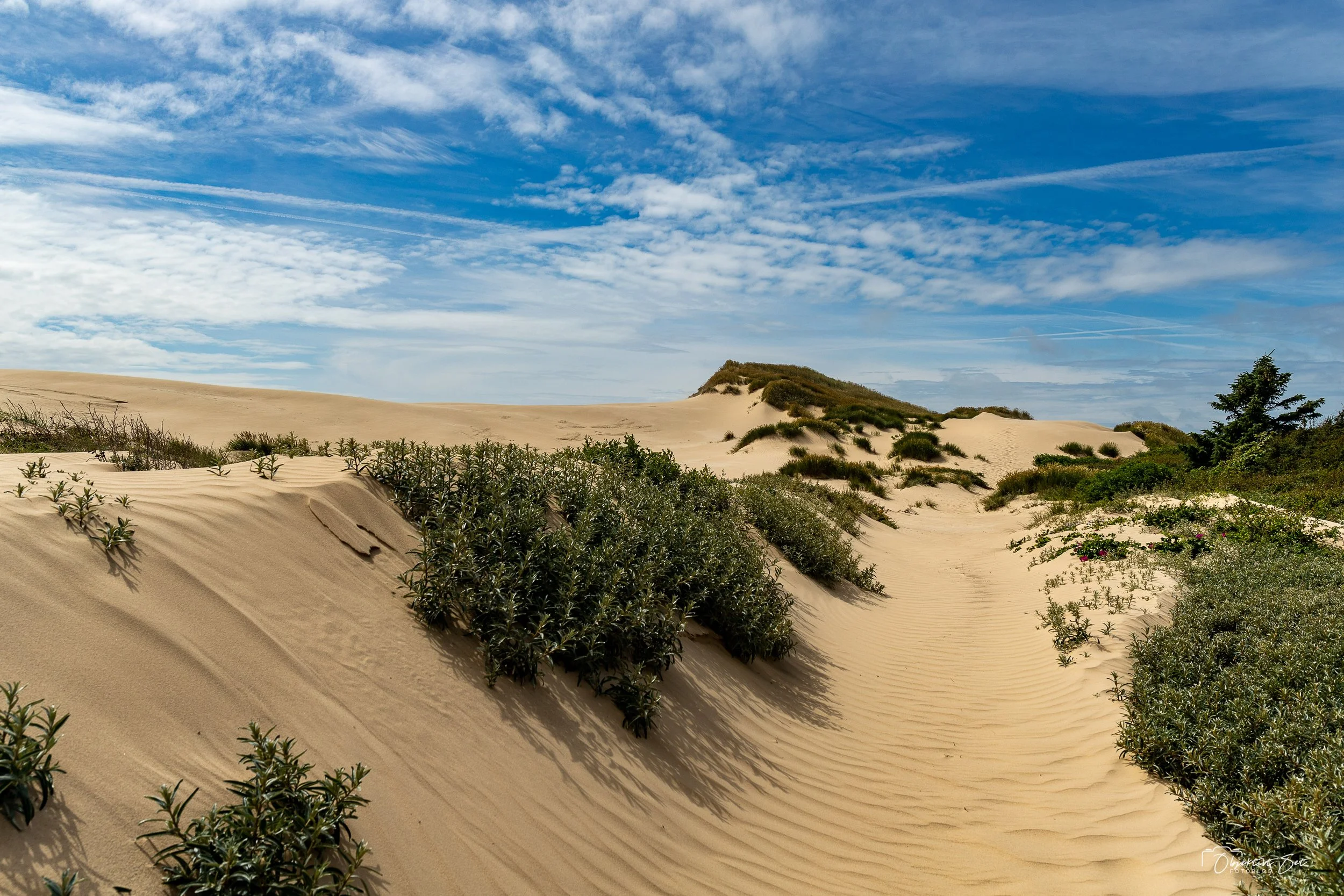 Rubjerg Knude, 17-07-2022