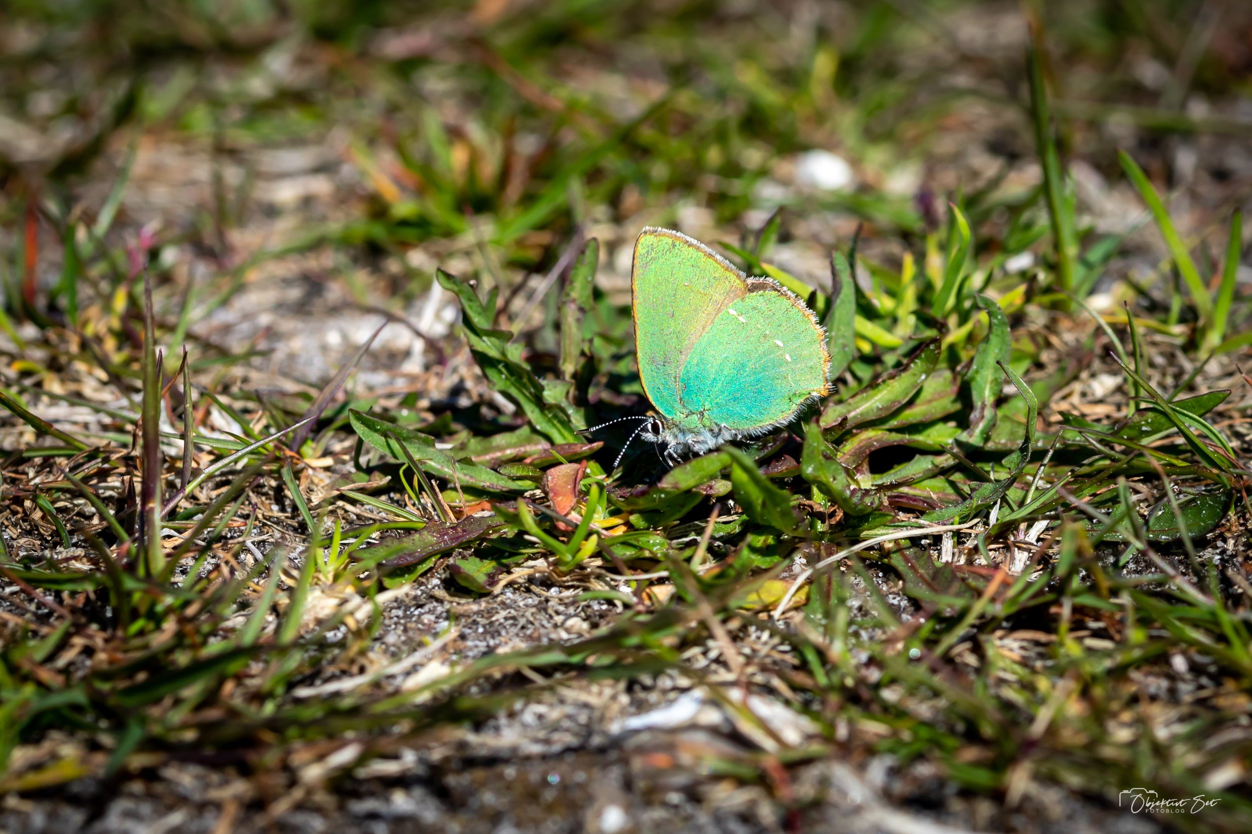 20220604-07.jpg