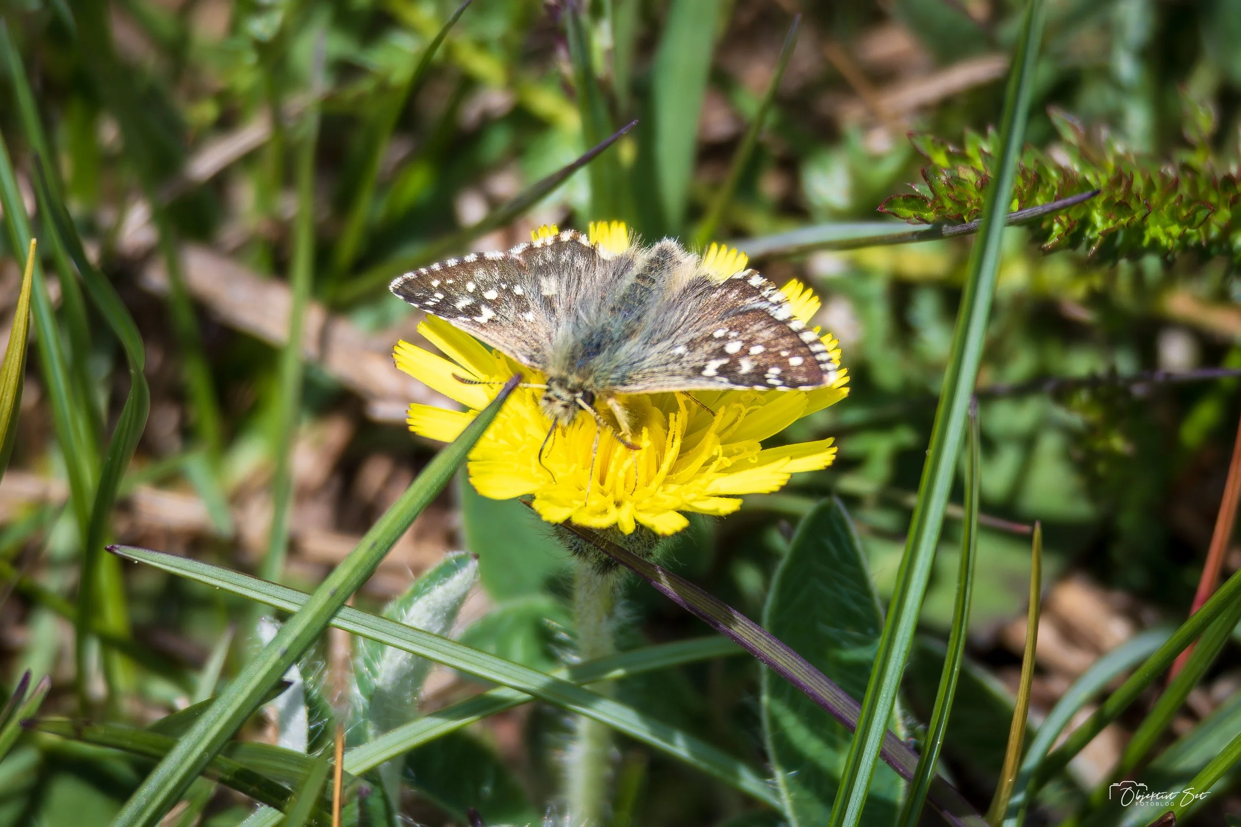 20260515-28.jpg
