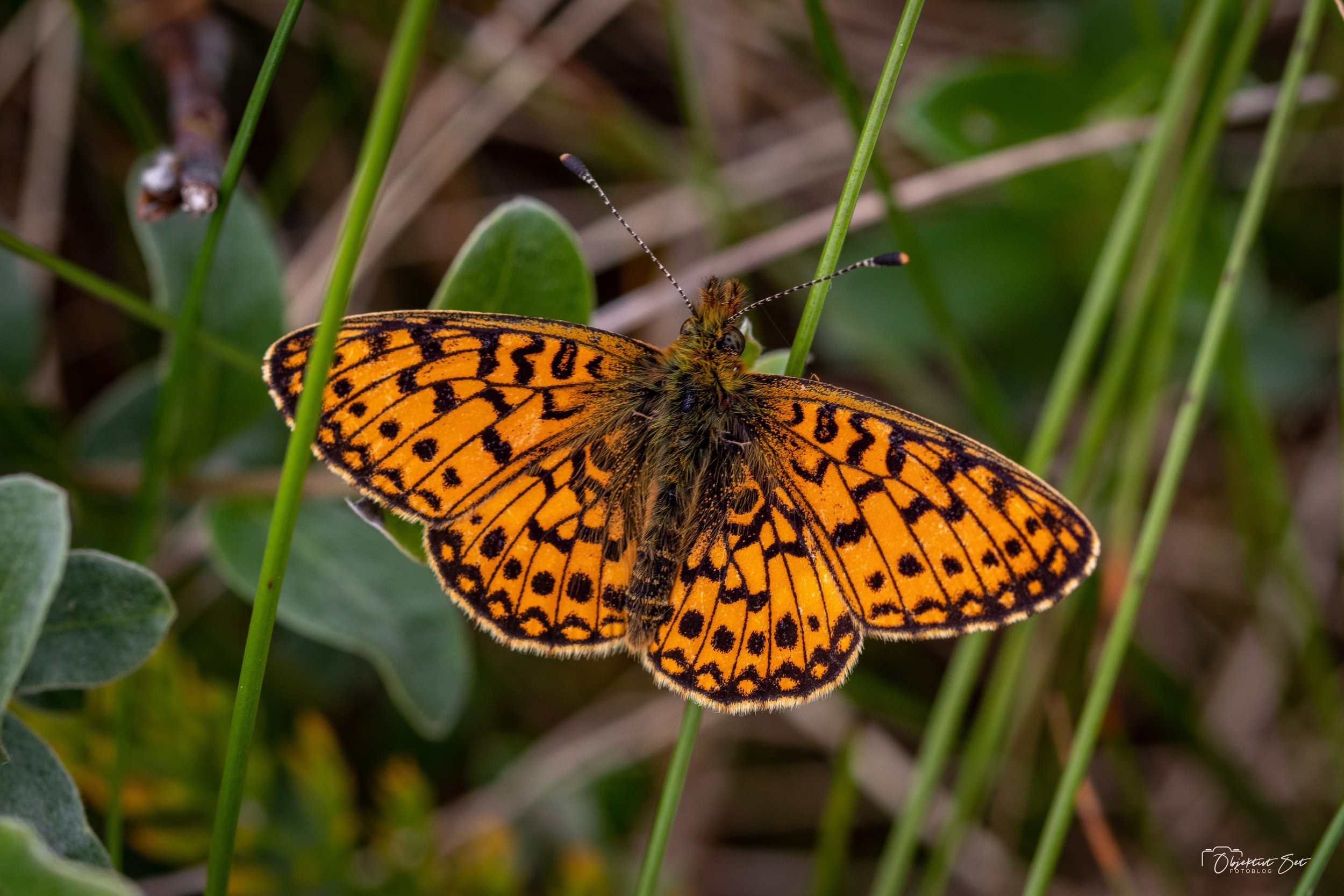 20210618-07.jpg