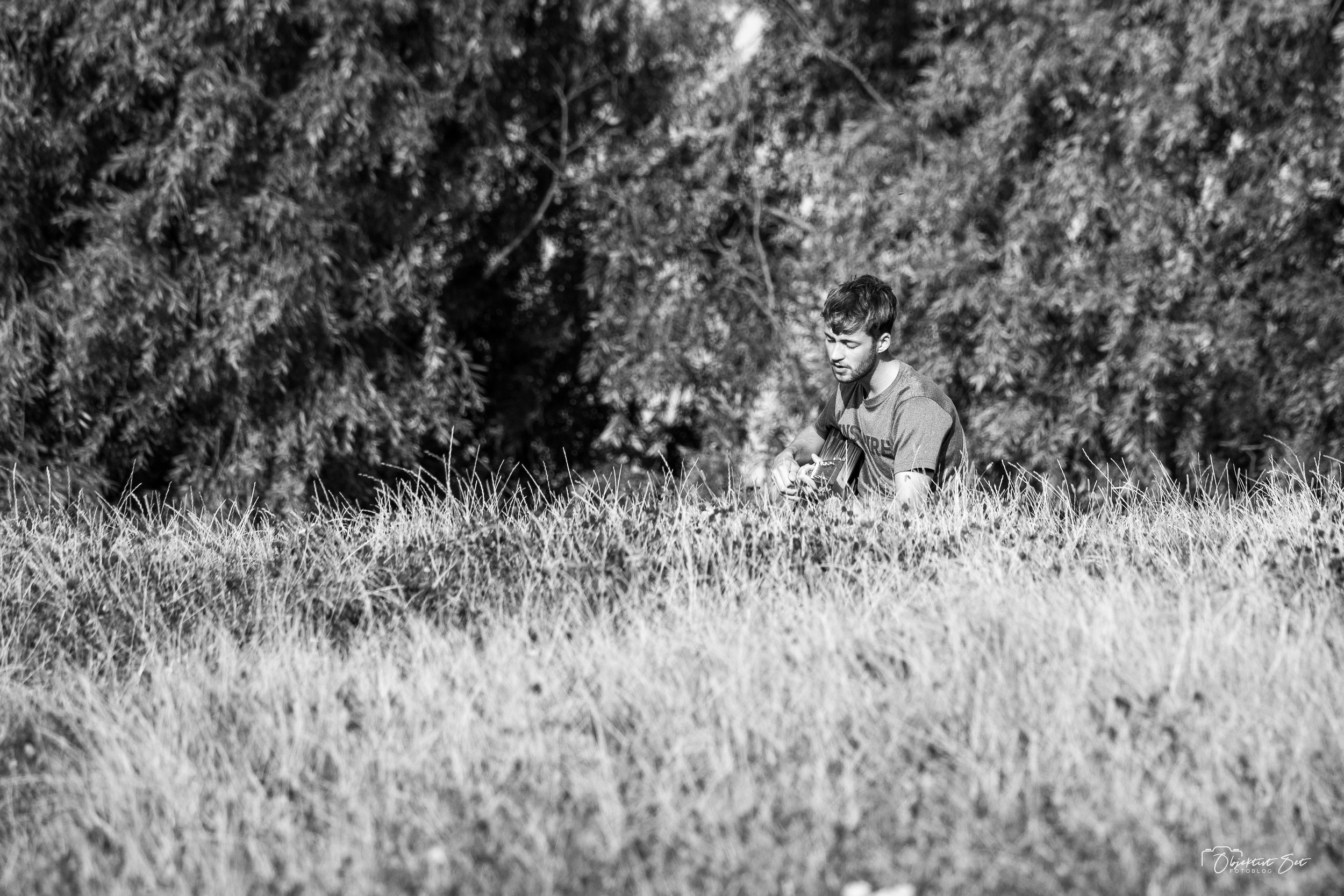 Amager Fælled, 04-09-2024