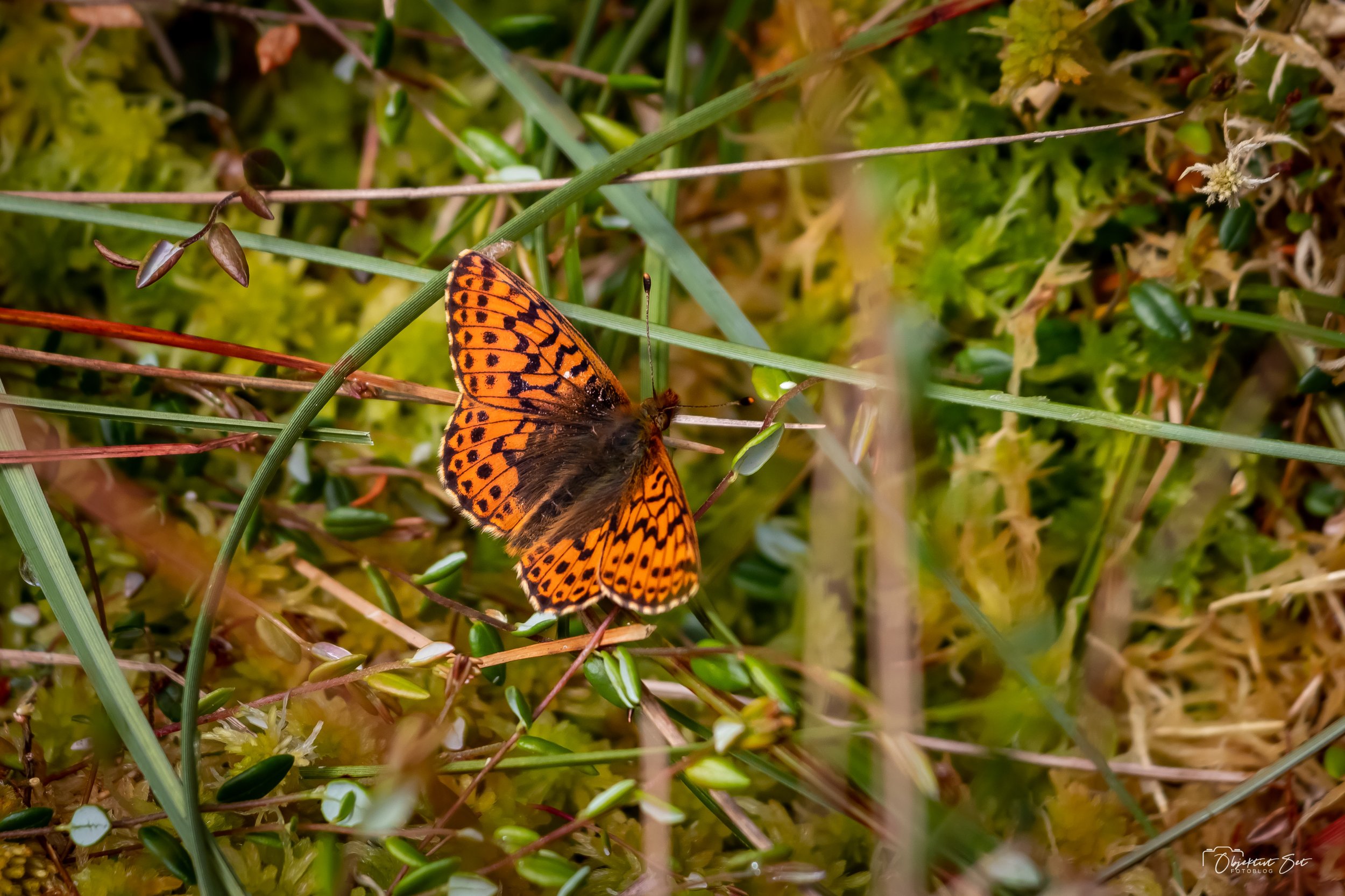 20210627-17.jpg