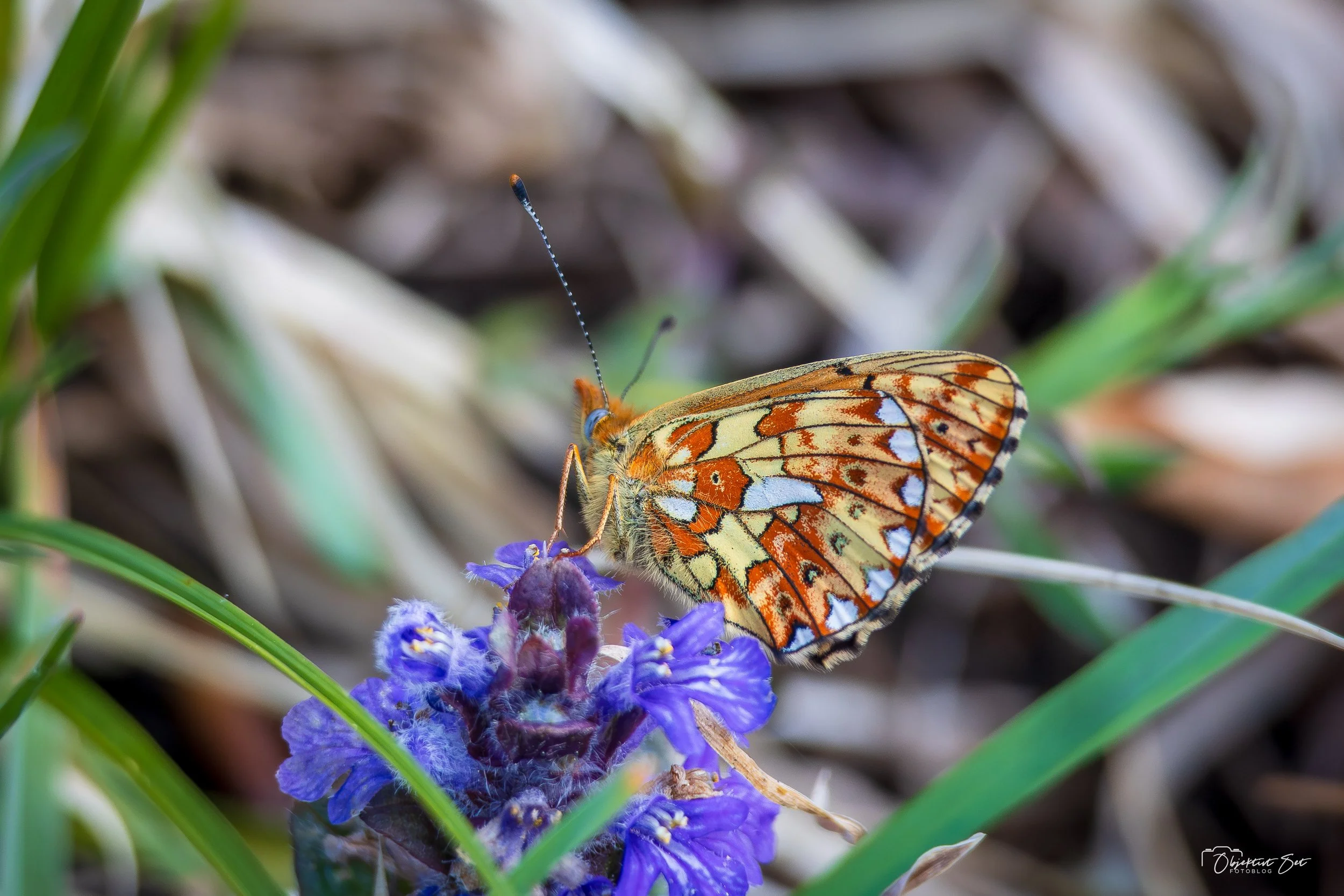 20260514-16.jpg