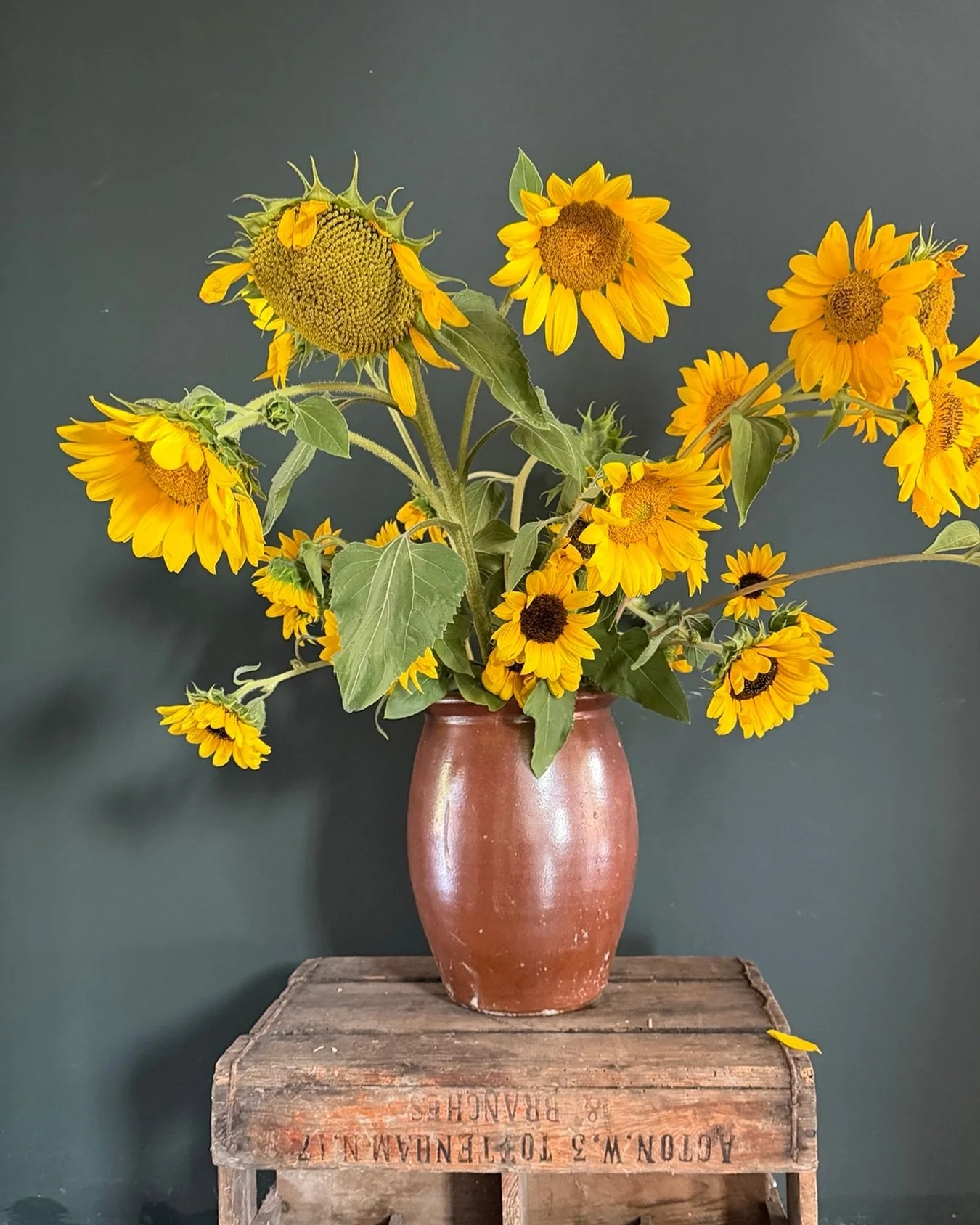 The sunflowers are out. Smiley flowers everywhere.
#retreat #retreatlife #freshflowers #sunflowers #yogafrance