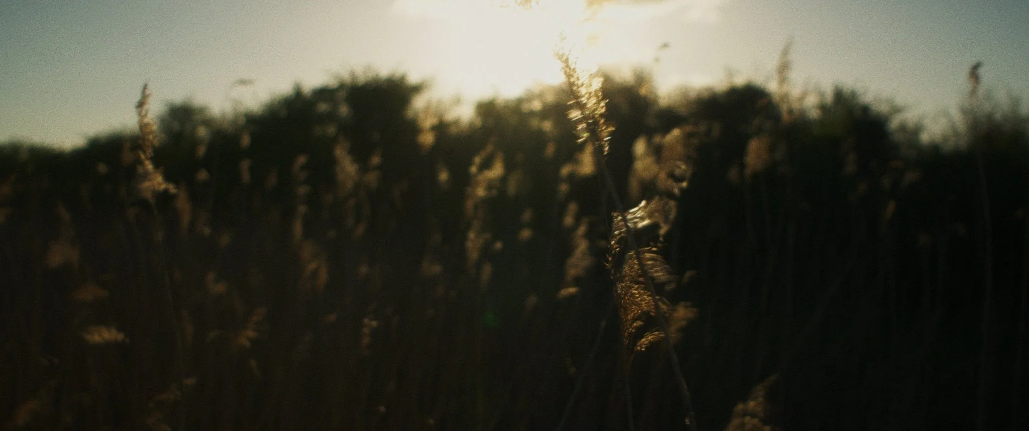 Starcrossed_1.60.1.JPG