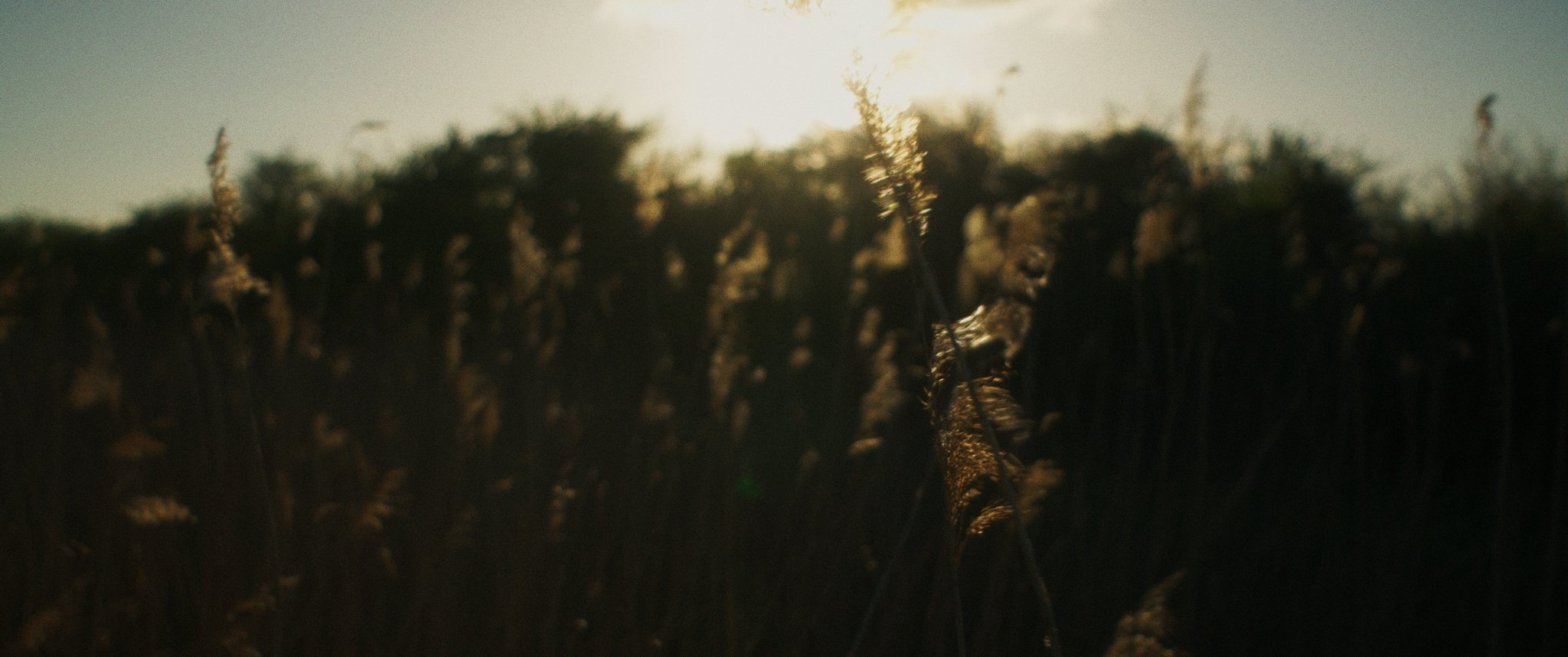 Starcrossed_1.60.1.jpg