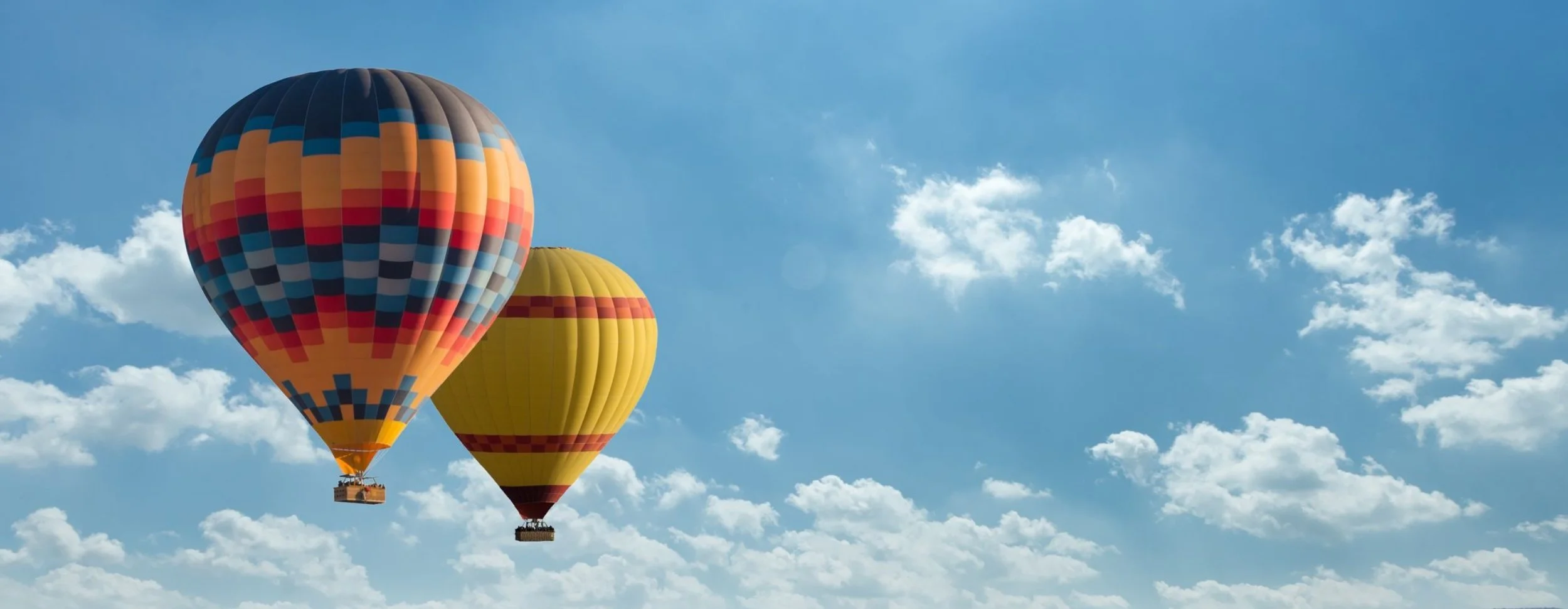 Home Page Advertisement Image.jpg