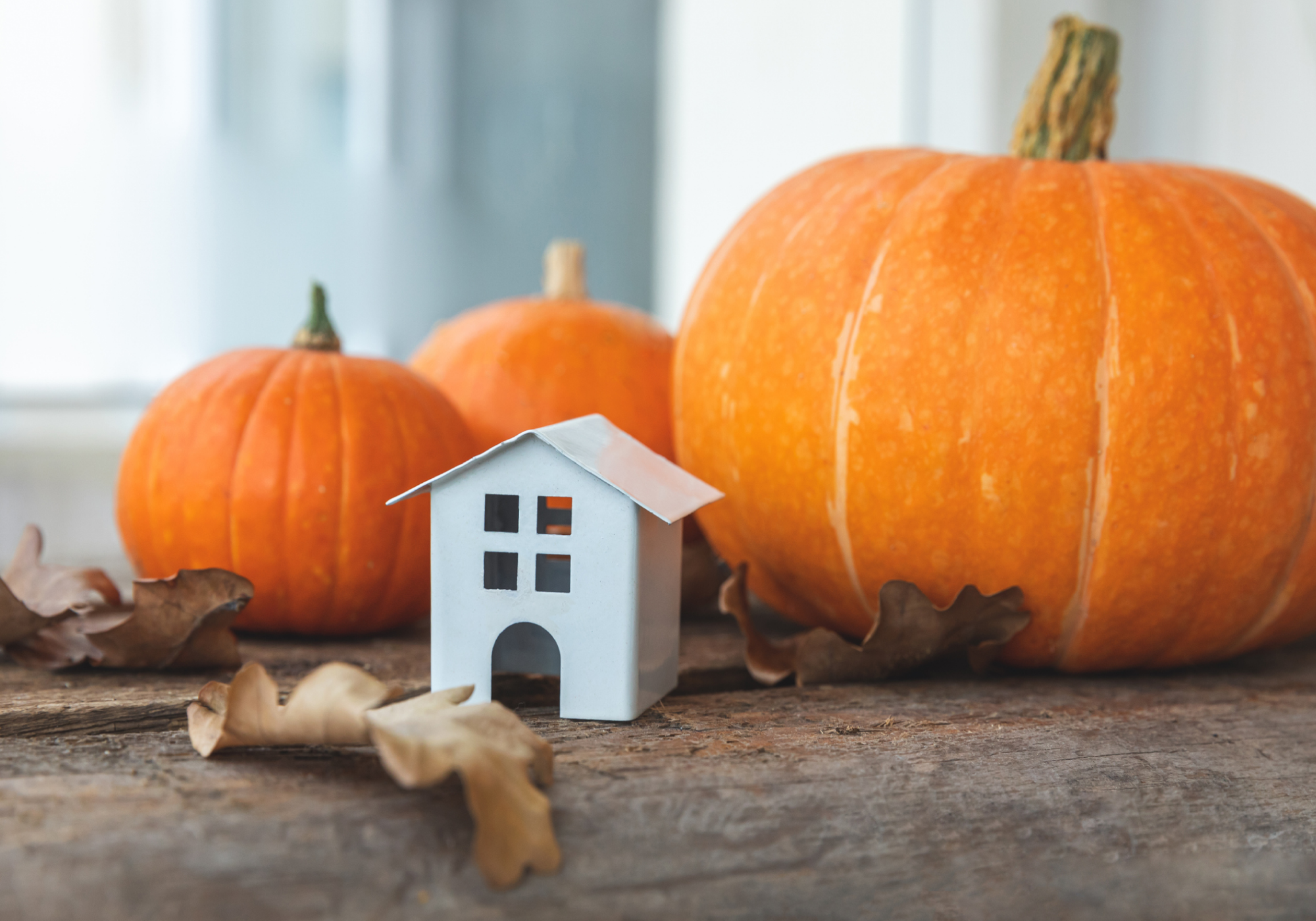 fall home equity ad.png