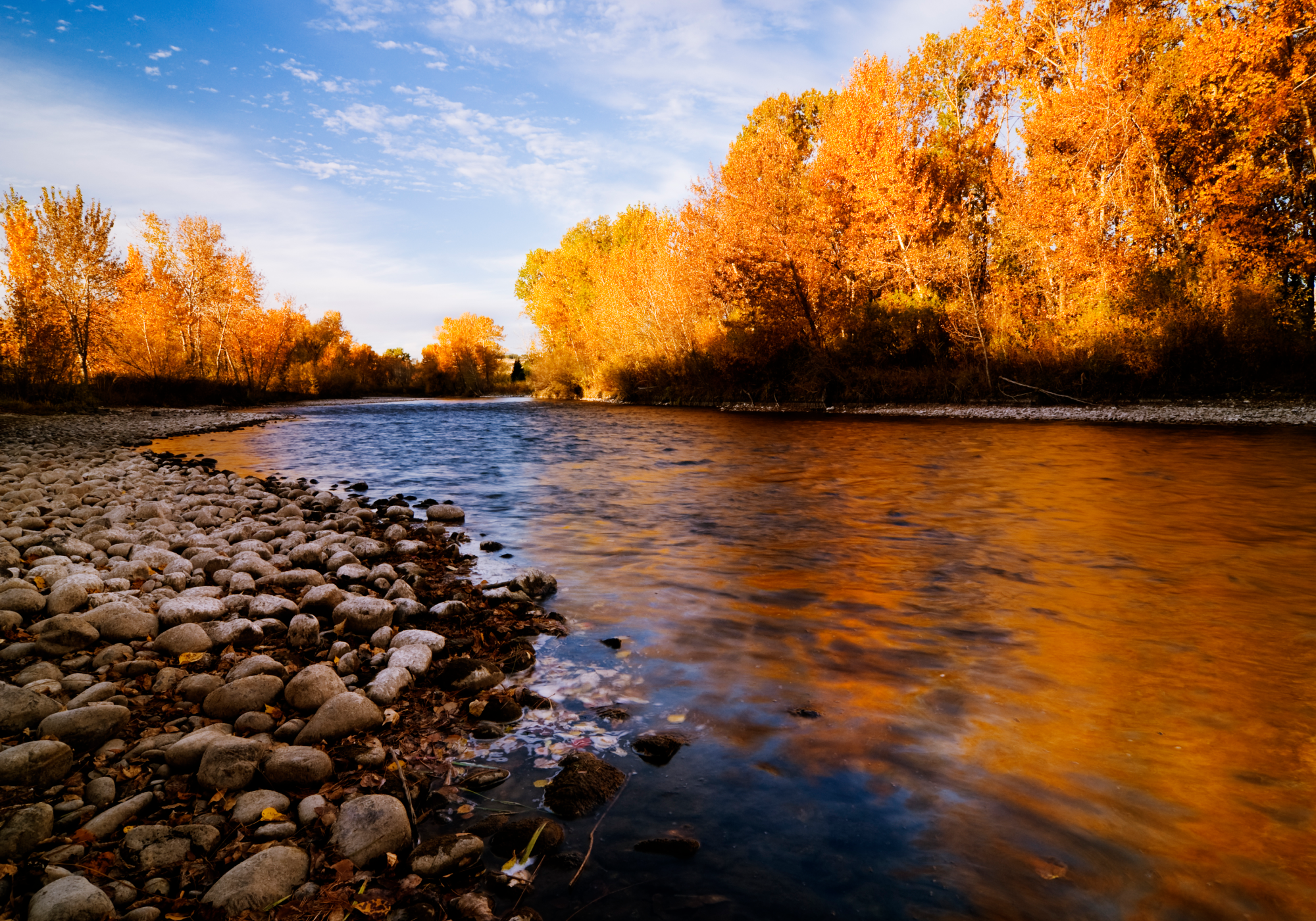 fall document upload header.png