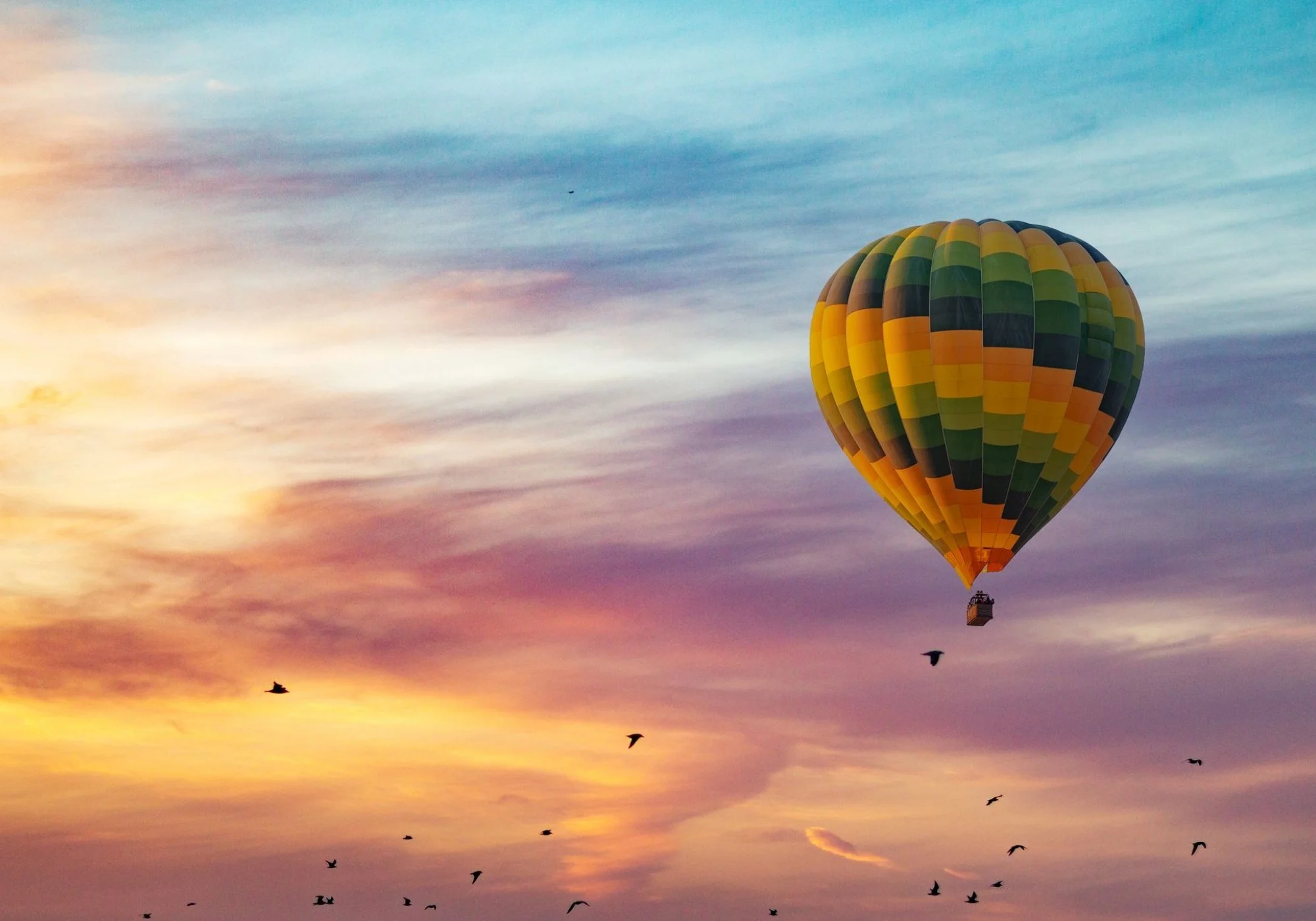 RISE ABOVE DEBT HOME PAGE HEADER.jpg