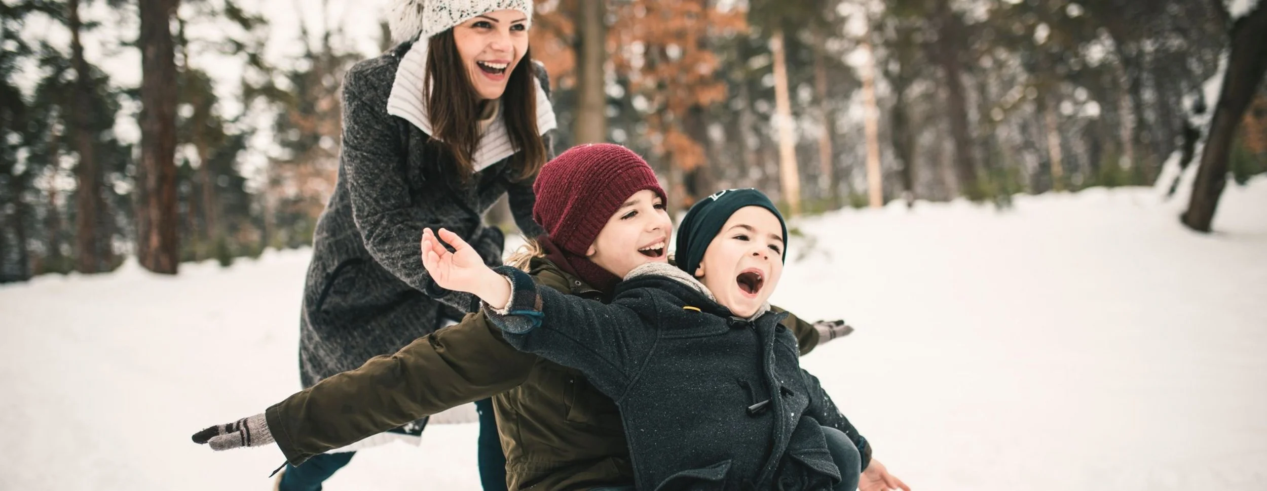 home page - sled.jpg