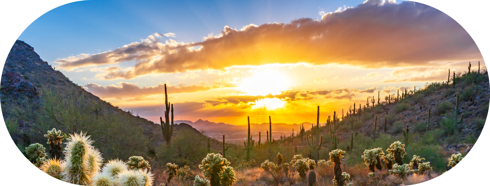 destination_scottsdale_dt@2x.png