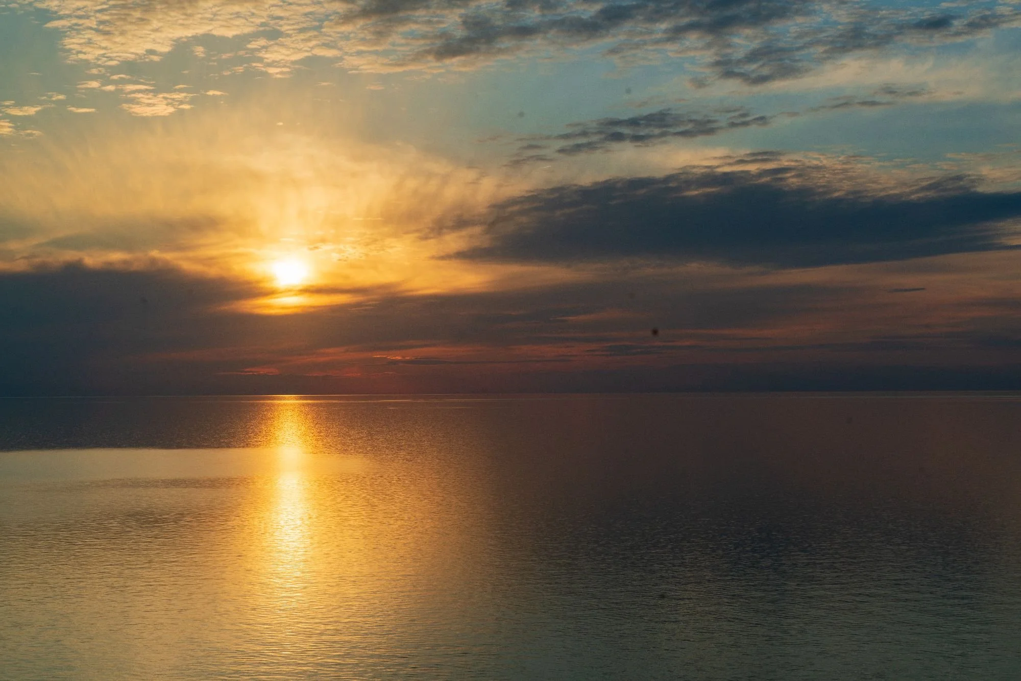 Todays Promotions.jpeg