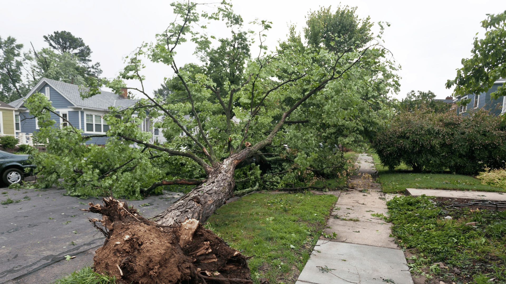 Storm Scams in Northeast Ohio: What to Watch For and How to Stay Safe