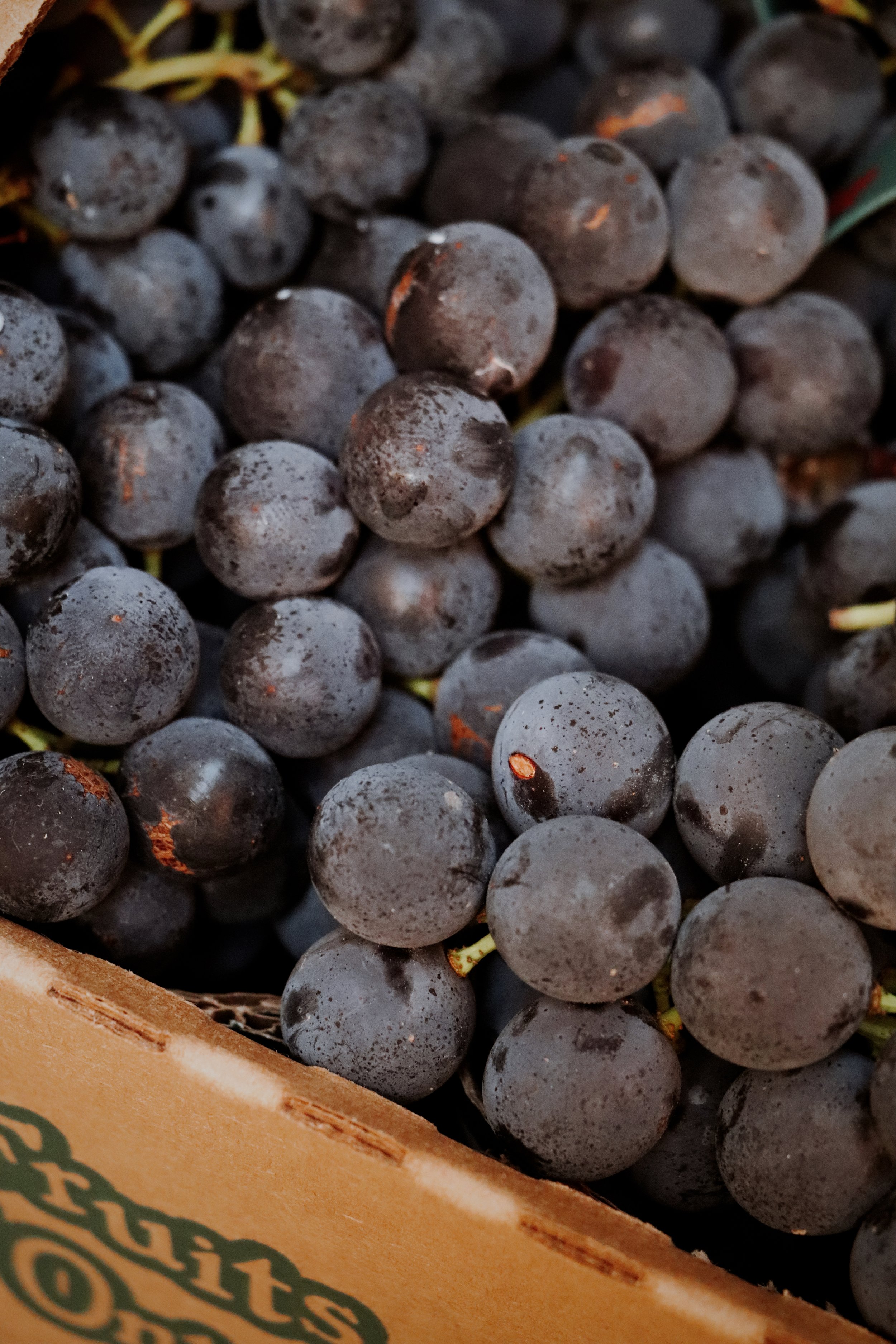 Insider’s Tips - Oct.3