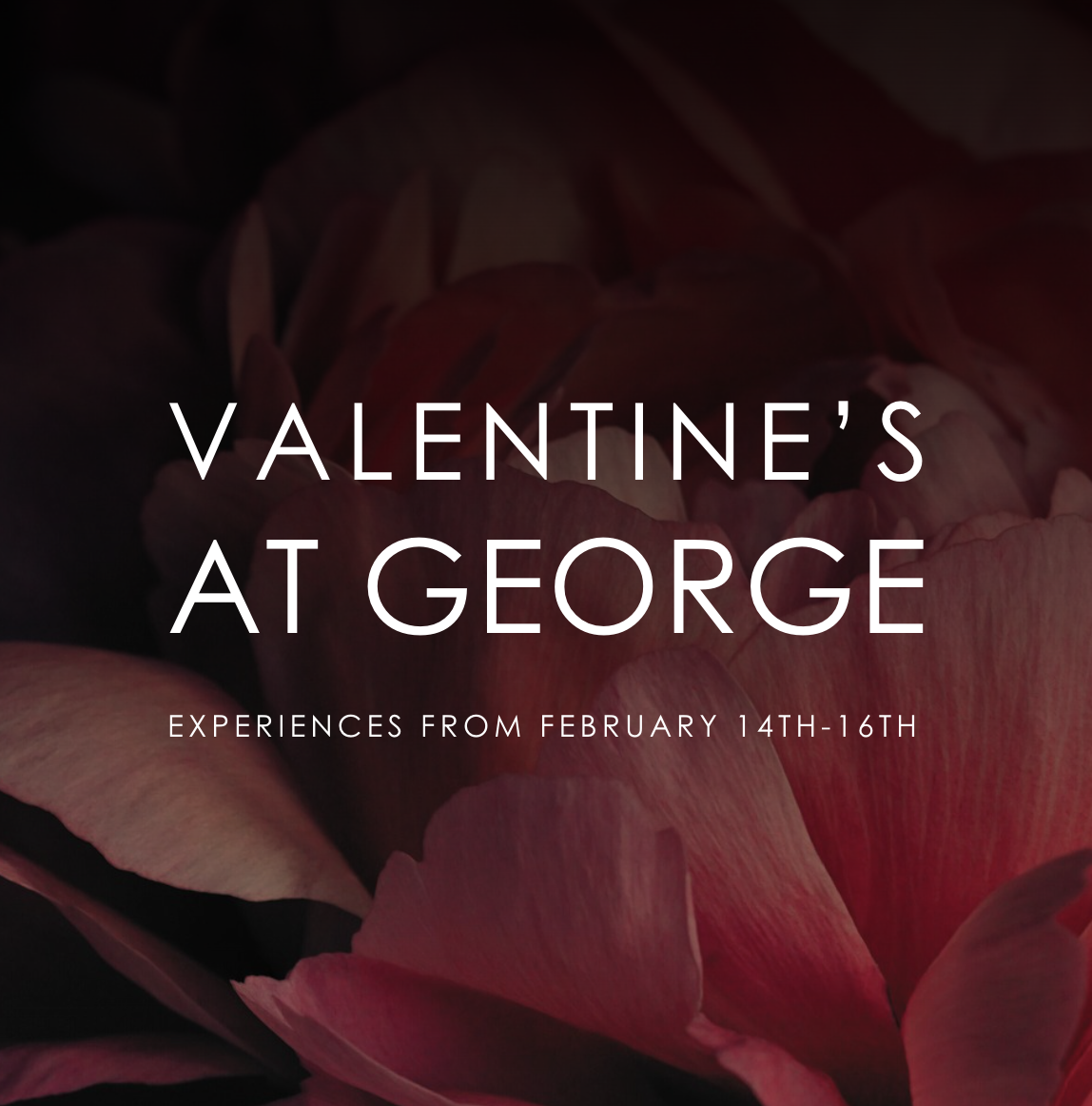 Insider’s Tips - Jan.30